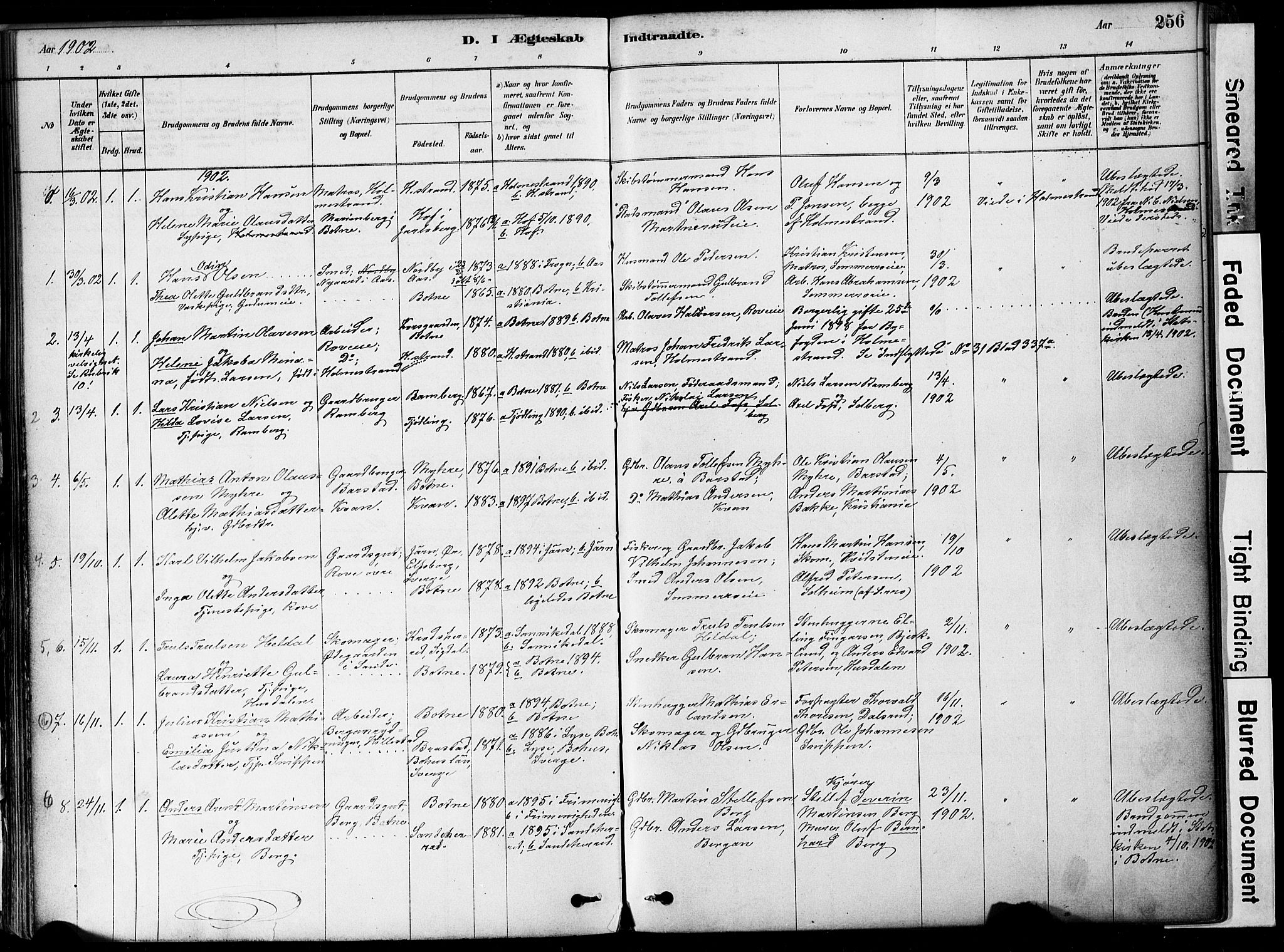 Botne kirkebøker, AV/SAKO-A-340/F/Fa/L0007: Parish register (official) no. I 7, 1878-1910, p. 256