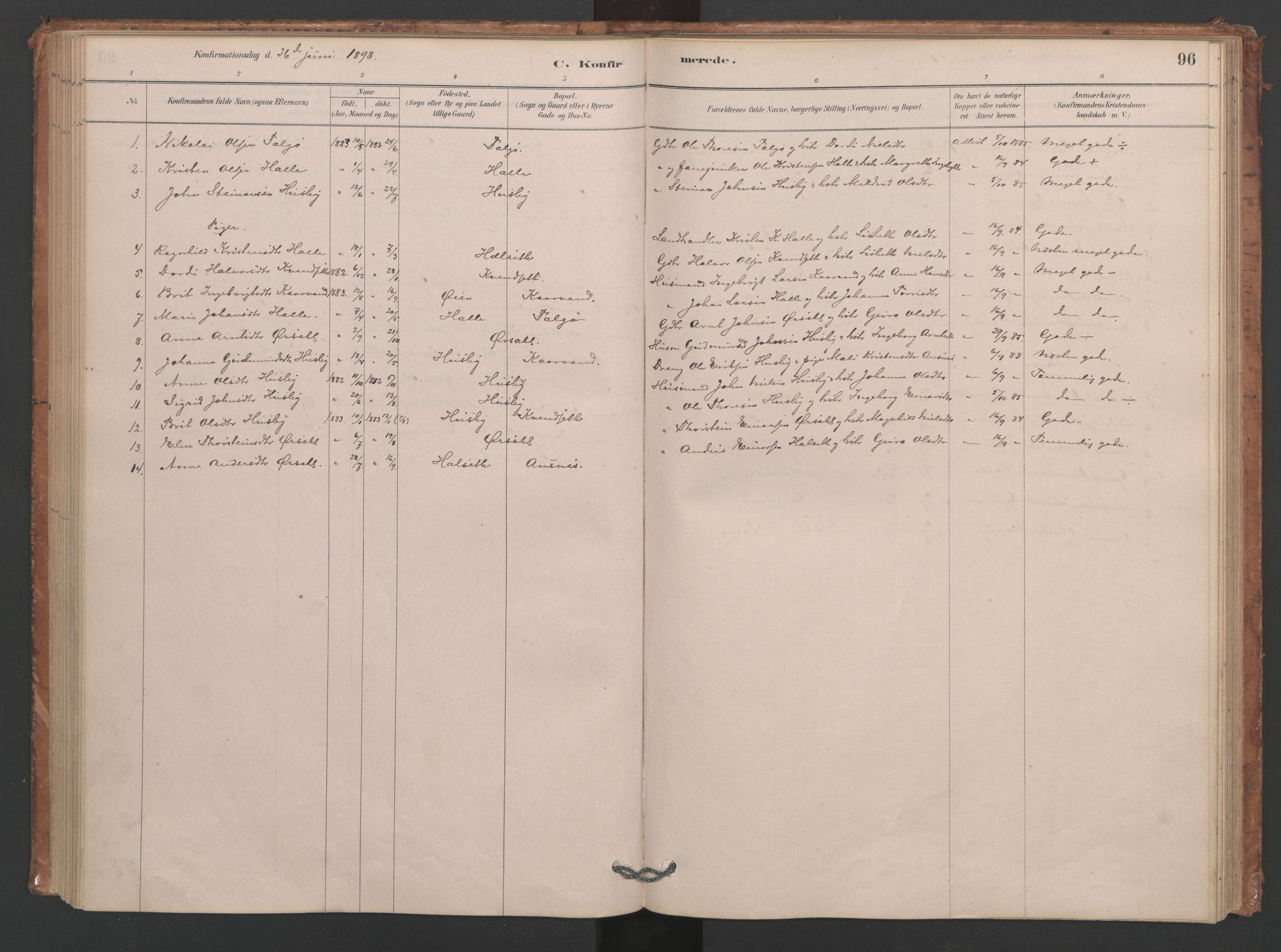 Ministerialprotokoller, klokkerbøker og fødselsregistre - Møre og Romsdal, SAT/A-1454/593/L1034: Parish register (official) no. 593A01, 1879-1911, p. 96