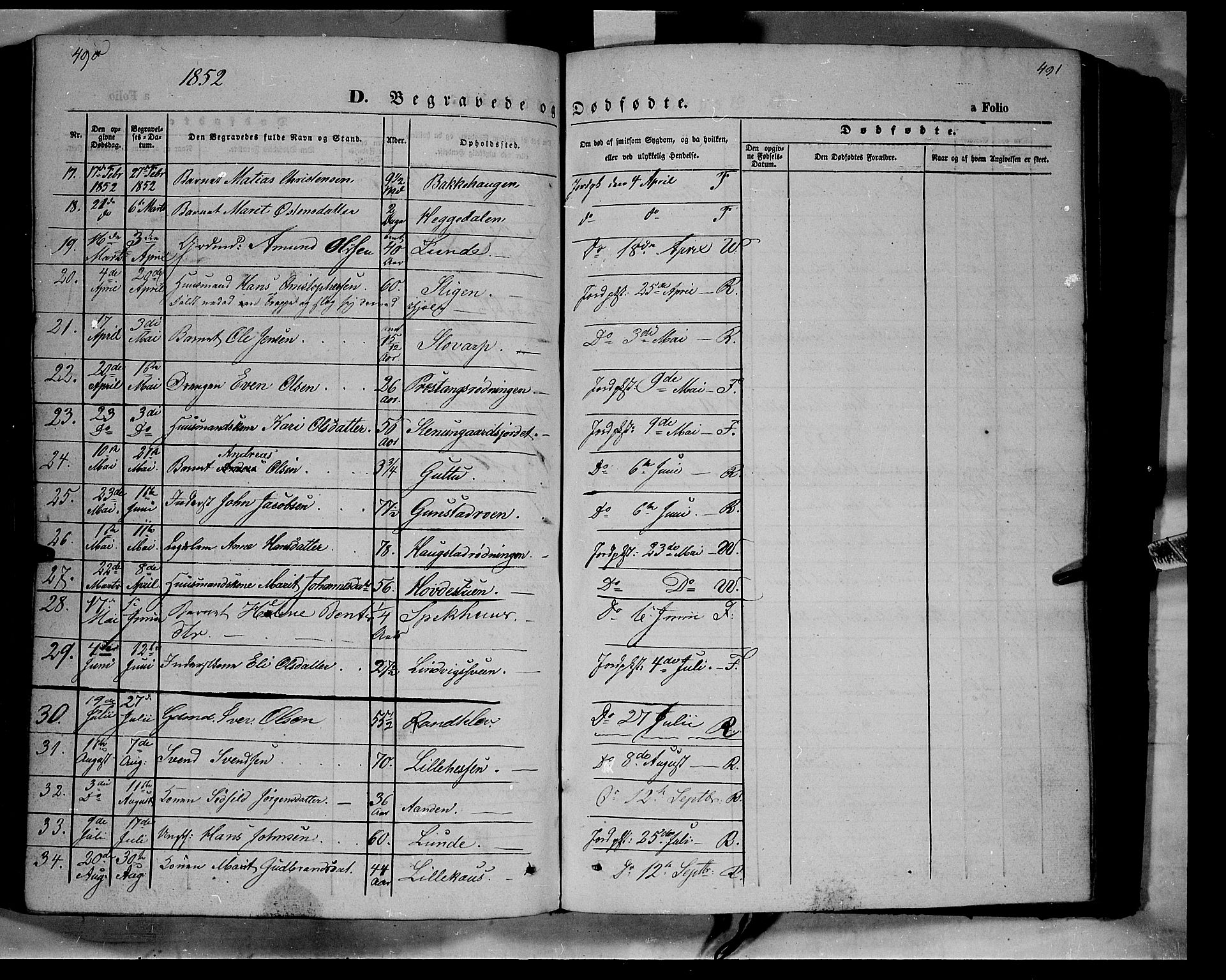 Ringebu prestekontor, SAH/PREST-082/H/Ha/Haa/L0006: Parish register (official) no. 6, 1848-1859, p. 490-491