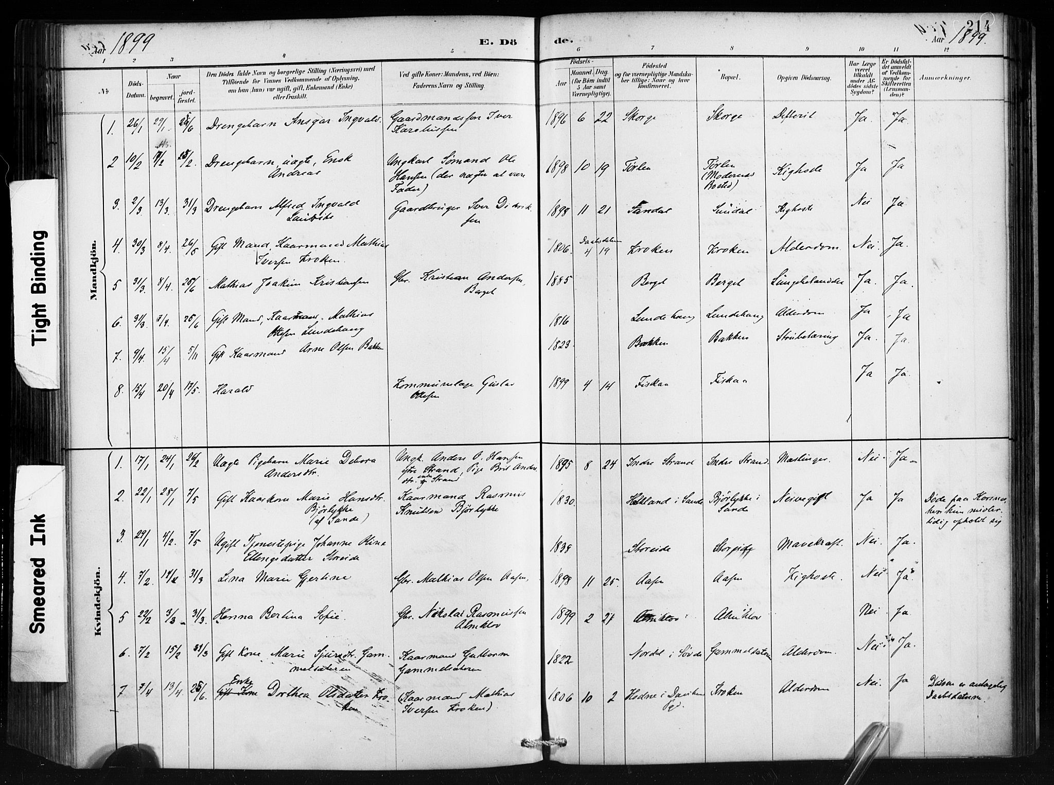 Ministerialprotokoller, klokkerbøker og fødselsregistre - Møre og Romsdal, AV/SAT-A-1454/501/L0008: Parish register (official) no. 501A08, 1885-1901, p. 214