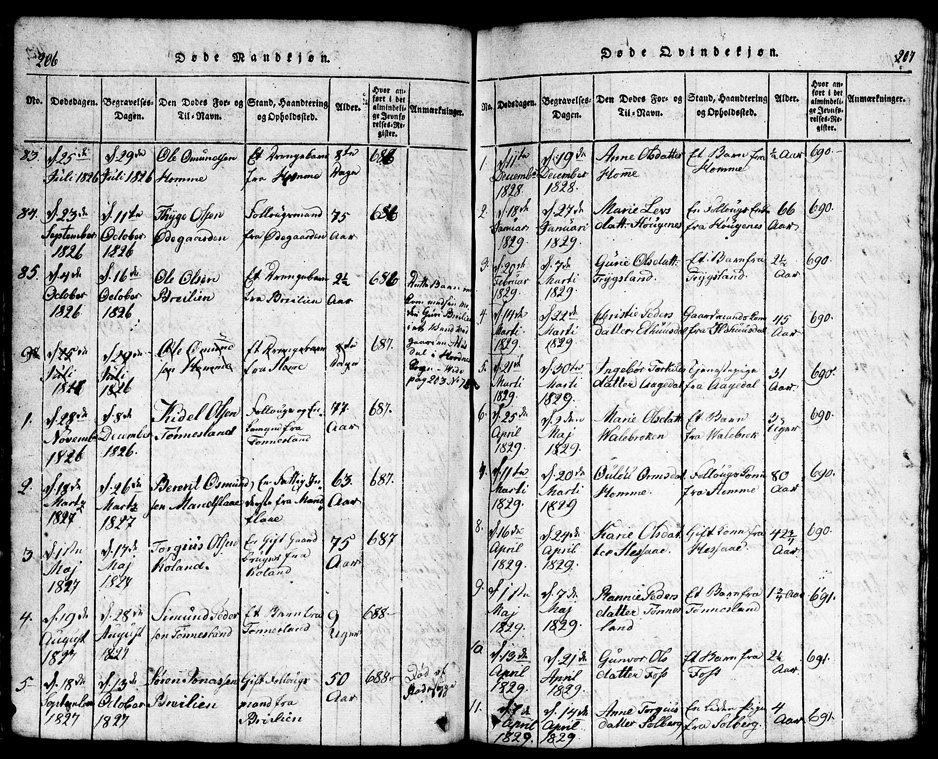 Bjelland sokneprestkontor, SAK/1111-0005/F/Fb/Fba/L0003: Parish register (copy) no. B 3, 1816-1870, p. 206-207