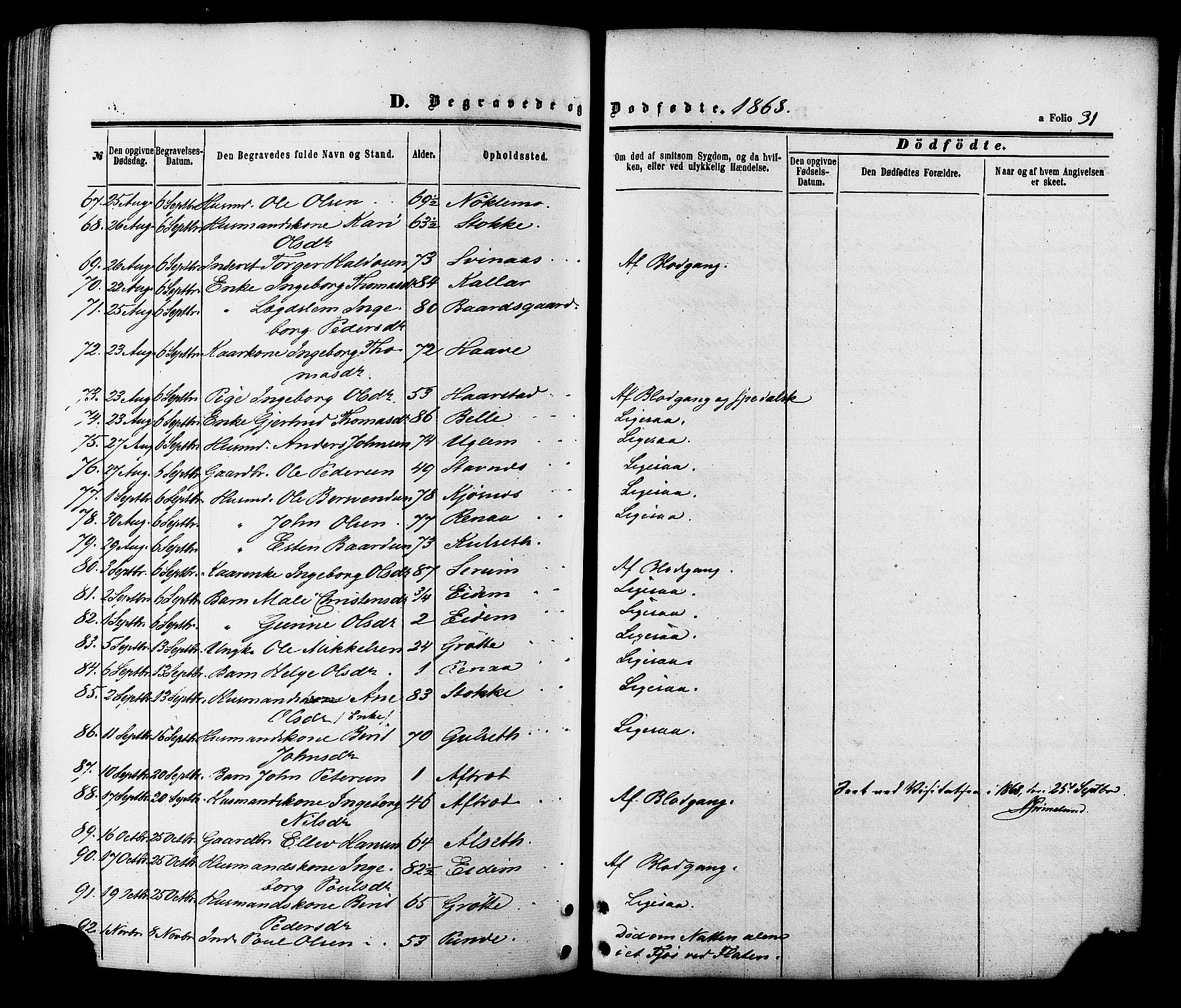 Ministerialprotokoller, klokkerbøker og fødselsregistre - Sør-Trøndelag, SAT/A-1456/695/L1147: Parish register (official) no. 695A07, 1860-1877, p. 31