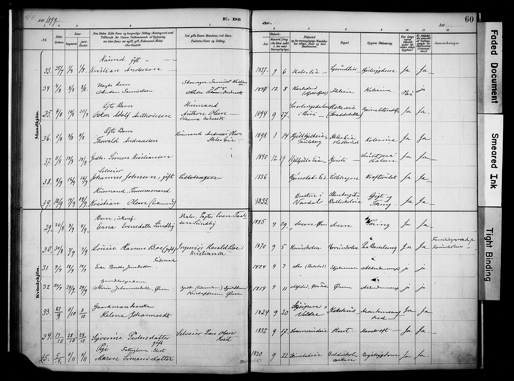 Nes prestekontor, Hedmark, AV/SAH-PREST-020/K/Ka/L0011: Parish register (official) no. 11, 1887-1905, p. 60