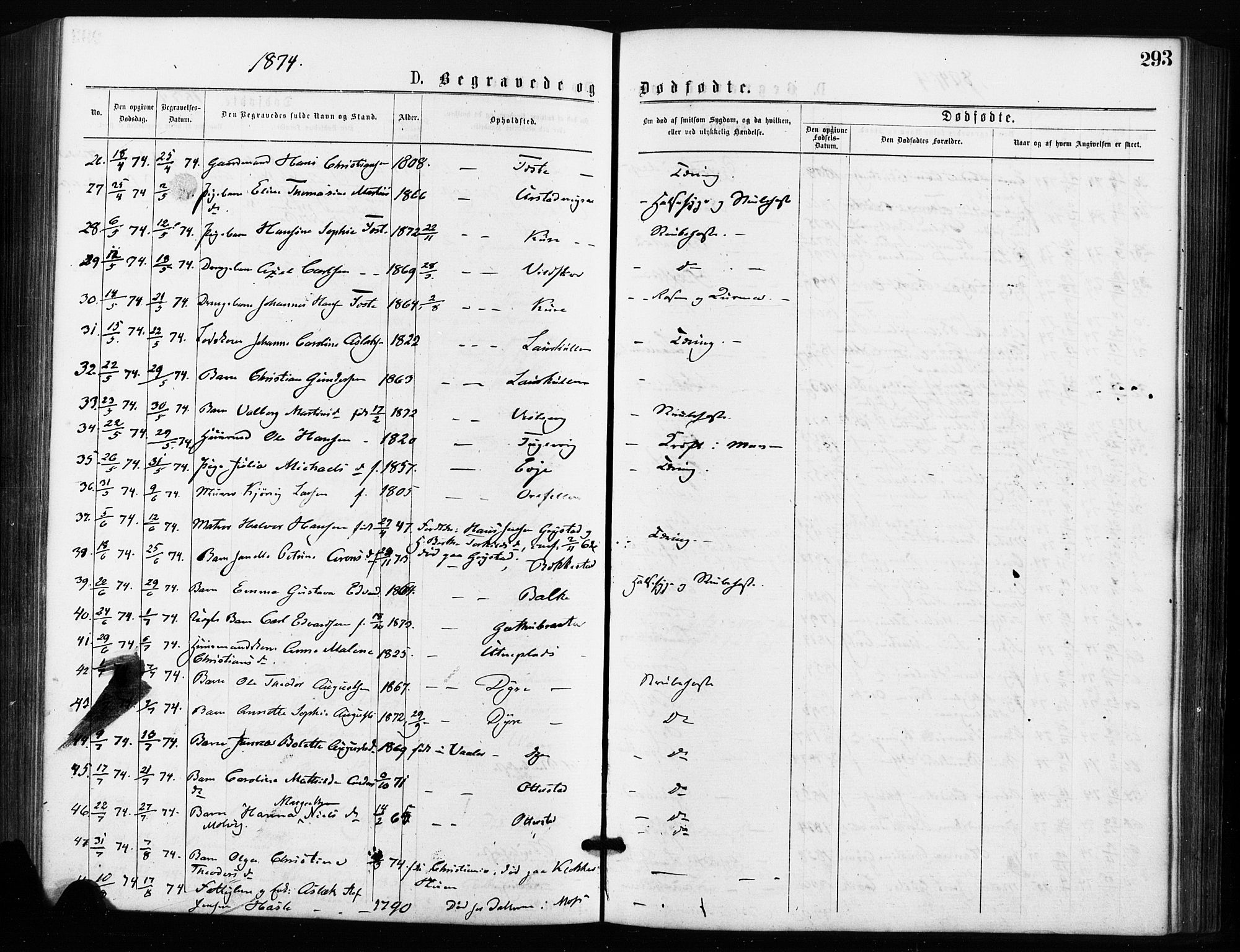 Rygge prestekontor Kirkebøker, AV/SAO-A-10084b/F/Fa/L0006: Parish register (official) no. 6, 1872-1877, p. 293