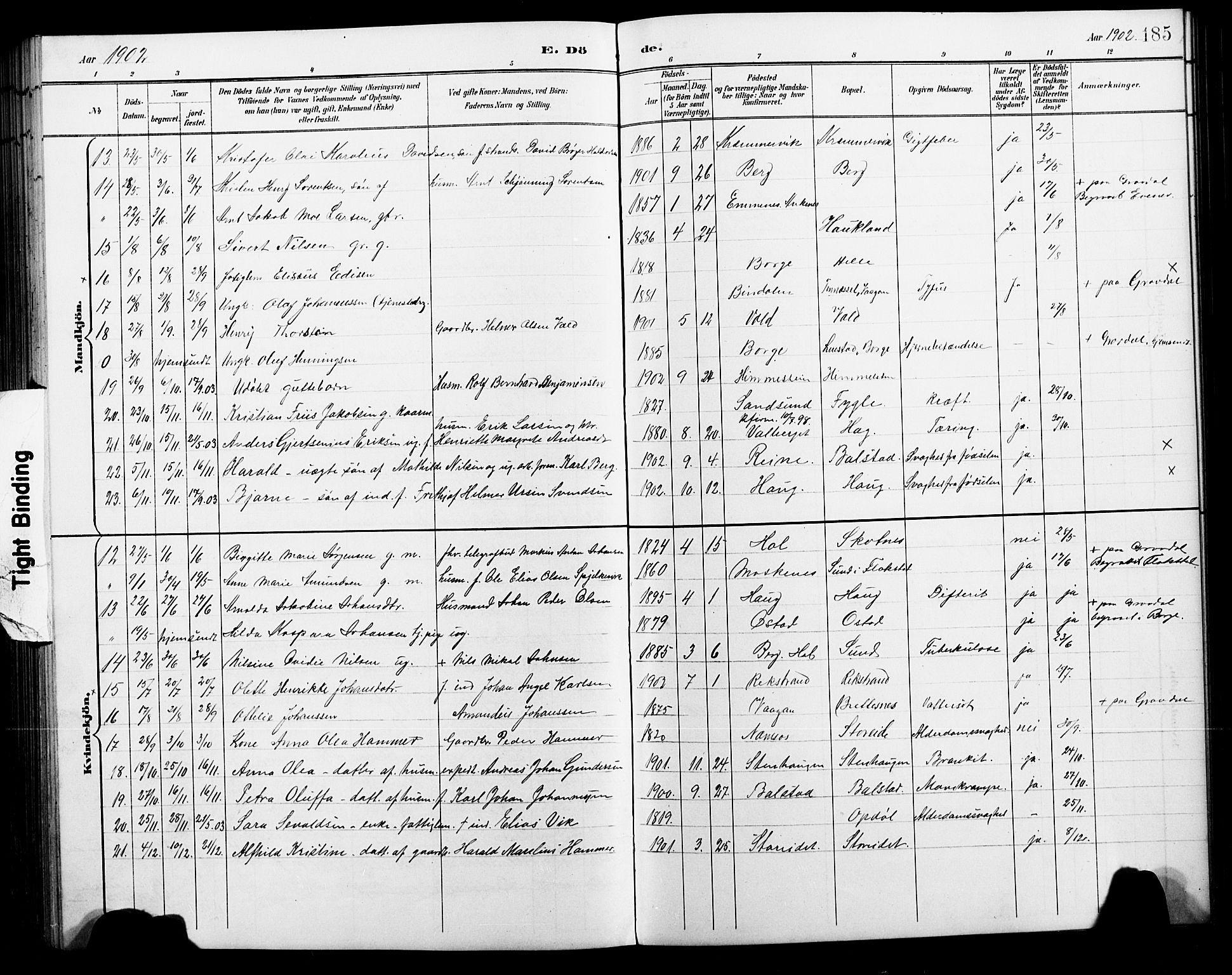 Ministerialprotokoller, klokkerbøker og fødselsregistre - Nordland, AV/SAT-A-1459/881/L1168: Parish register (copy) no. 881C05, 1900-1911, p. 185