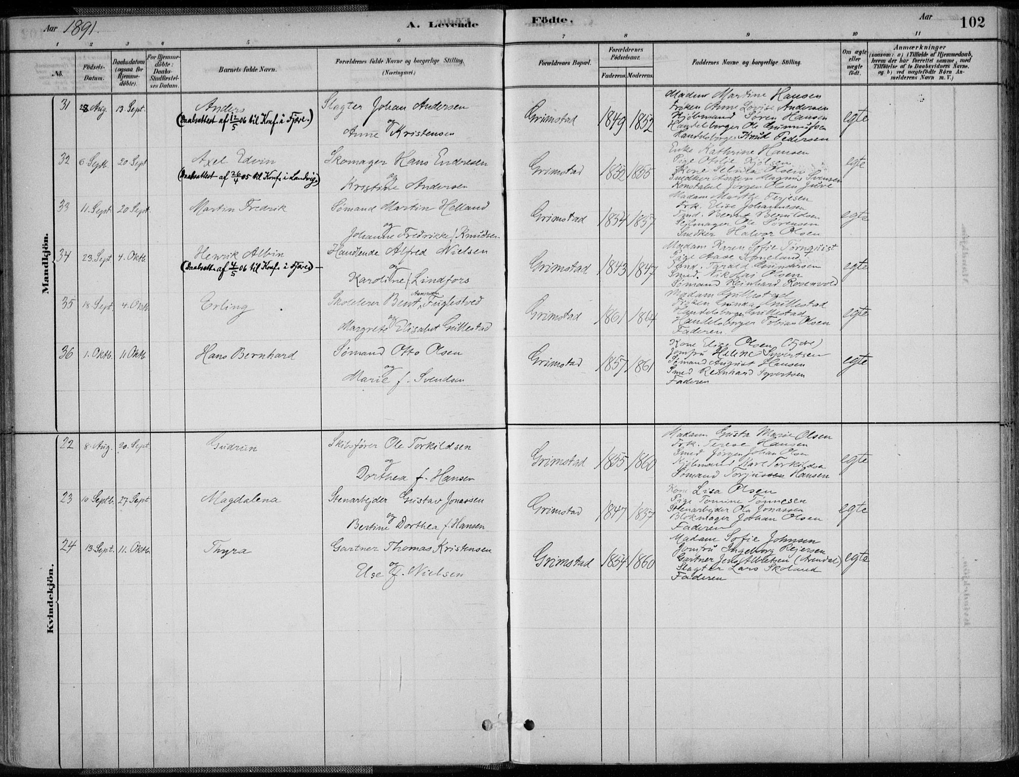 Grimstad sokneprestkontor, AV/SAK-1111-0017/F/Fa/L0003: Parish register (official) no. A 2, 1882-1912, p. 102