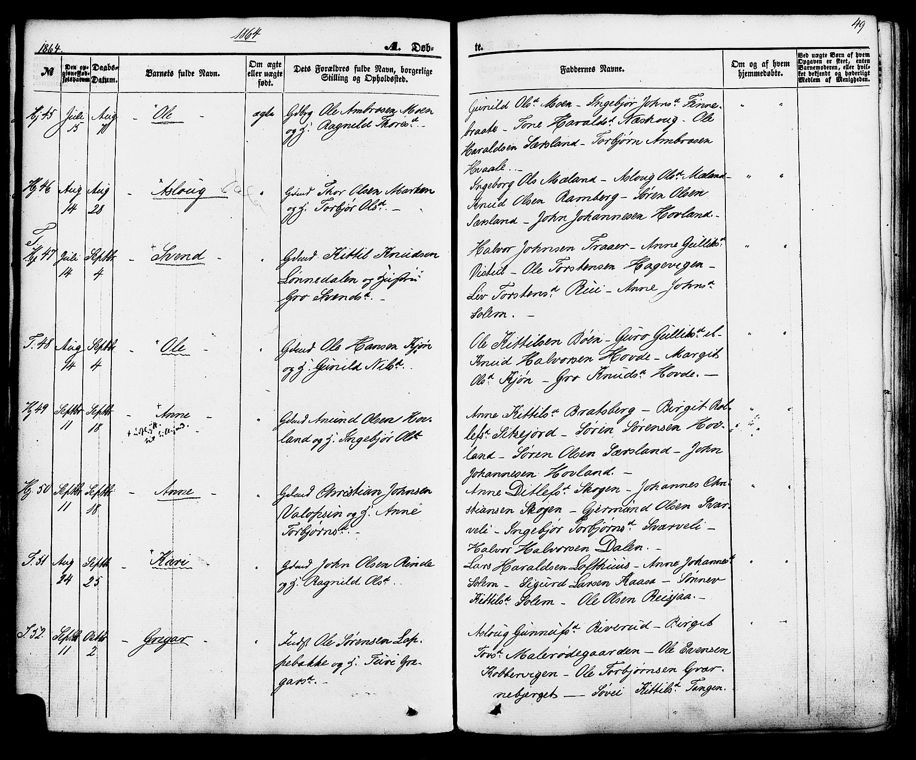 Hjartdal kirkebøker, AV/SAKO-A-270/F/Fa/L0009: Parish register (official) no. I 9, 1860-1879, p. 49