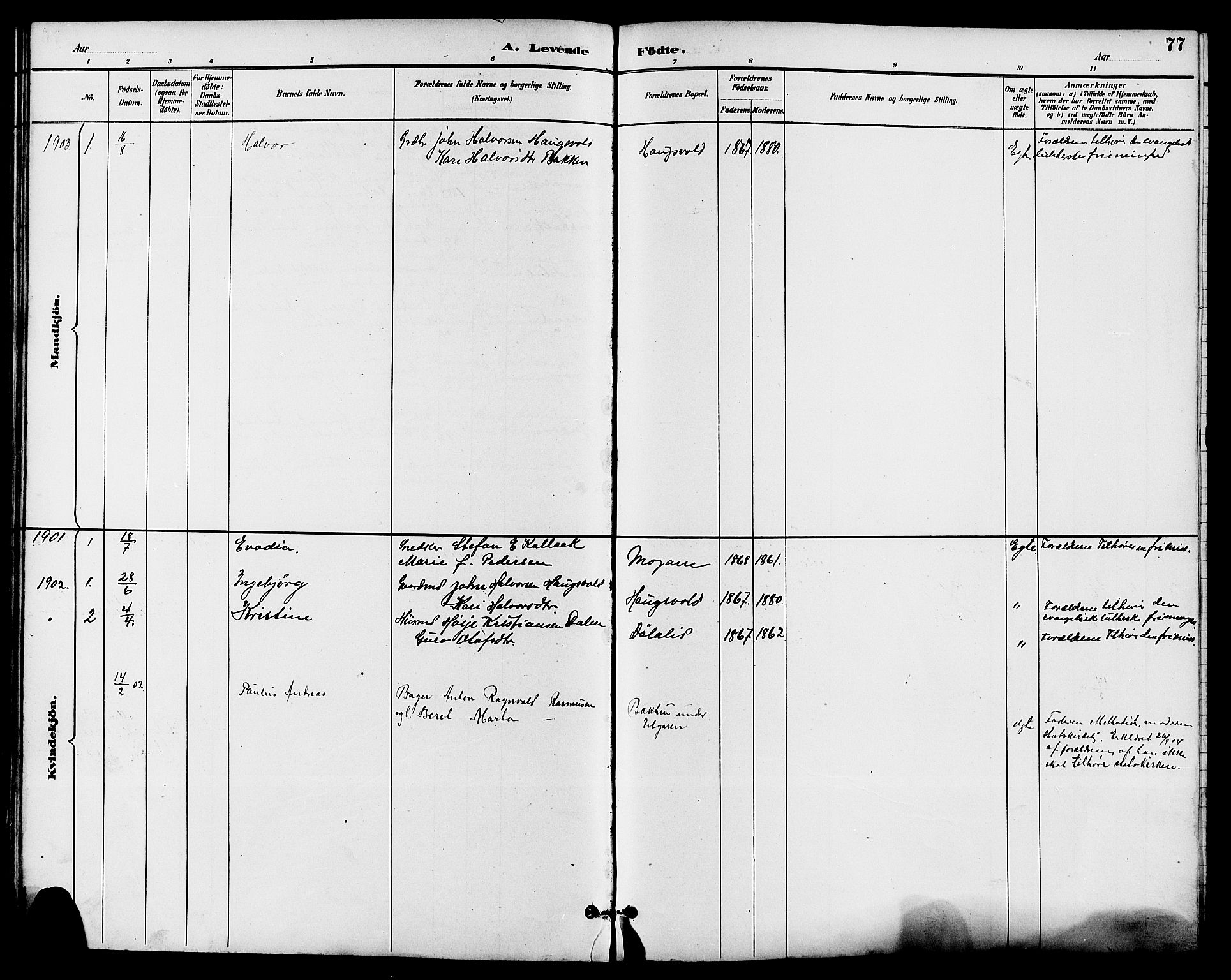 Seljord kirkebøker, SAKO/A-20/G/Ga/L0005: Parish register (copy) no. I 5, 1887-1914, p. 77