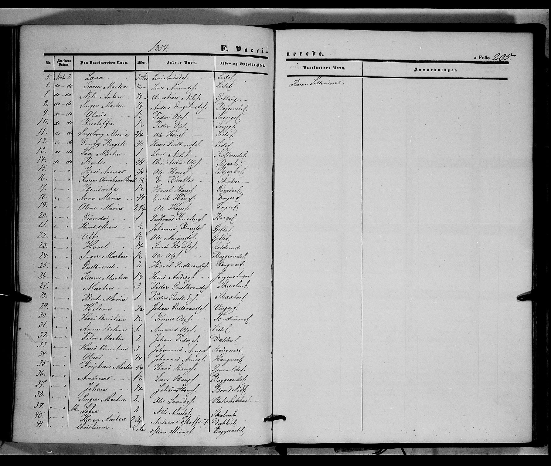 Land prestekontor, SAH/PREST-120/H/Ha/Haa/L0010: Parish register (official) no. 10, 1847-1859, p. 205