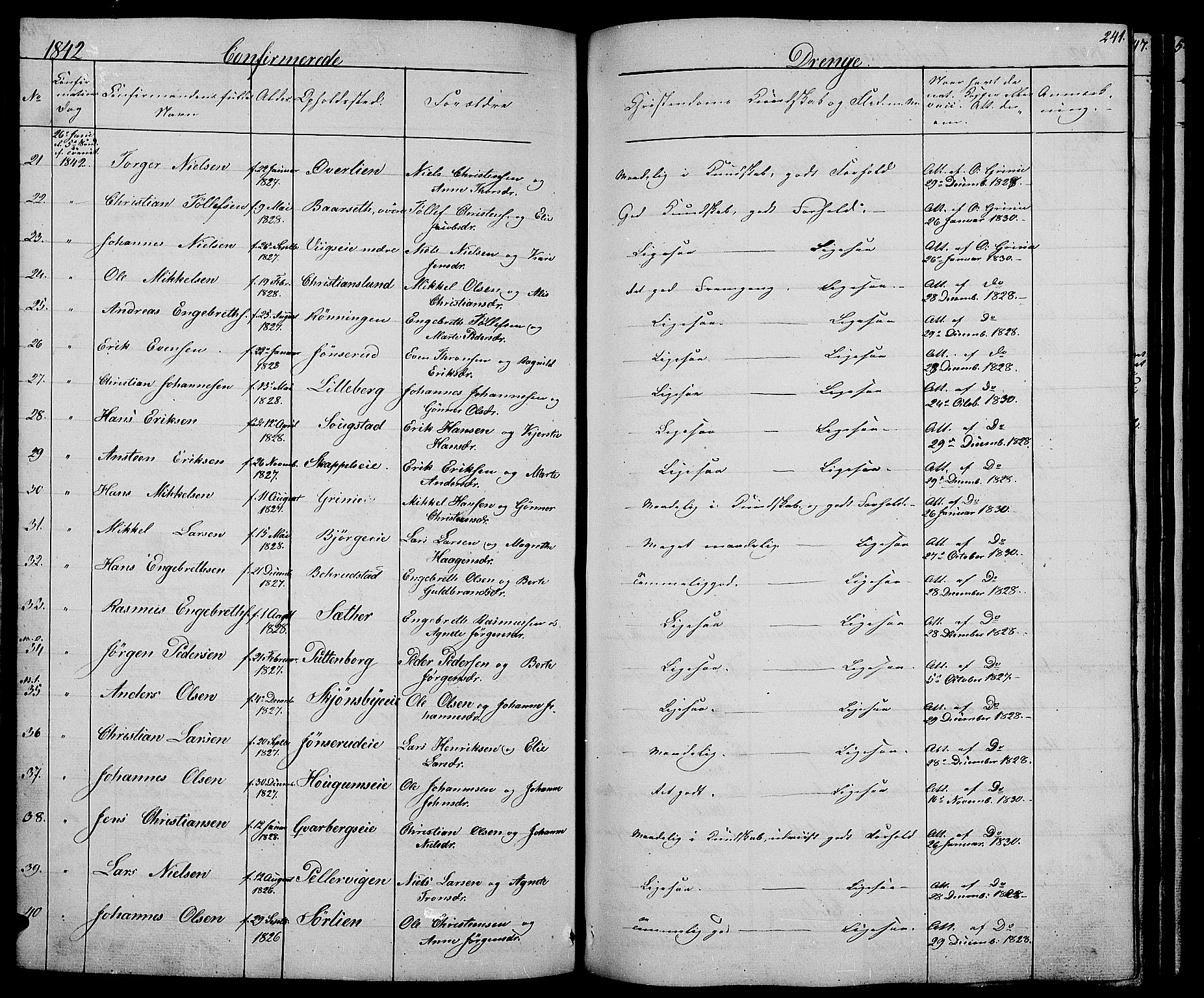 Ringsaker prestekontor, AV/SAH-PREST-014/L/La/L0005: Parish register (copy) no. 5, 1839-1850, p. 241