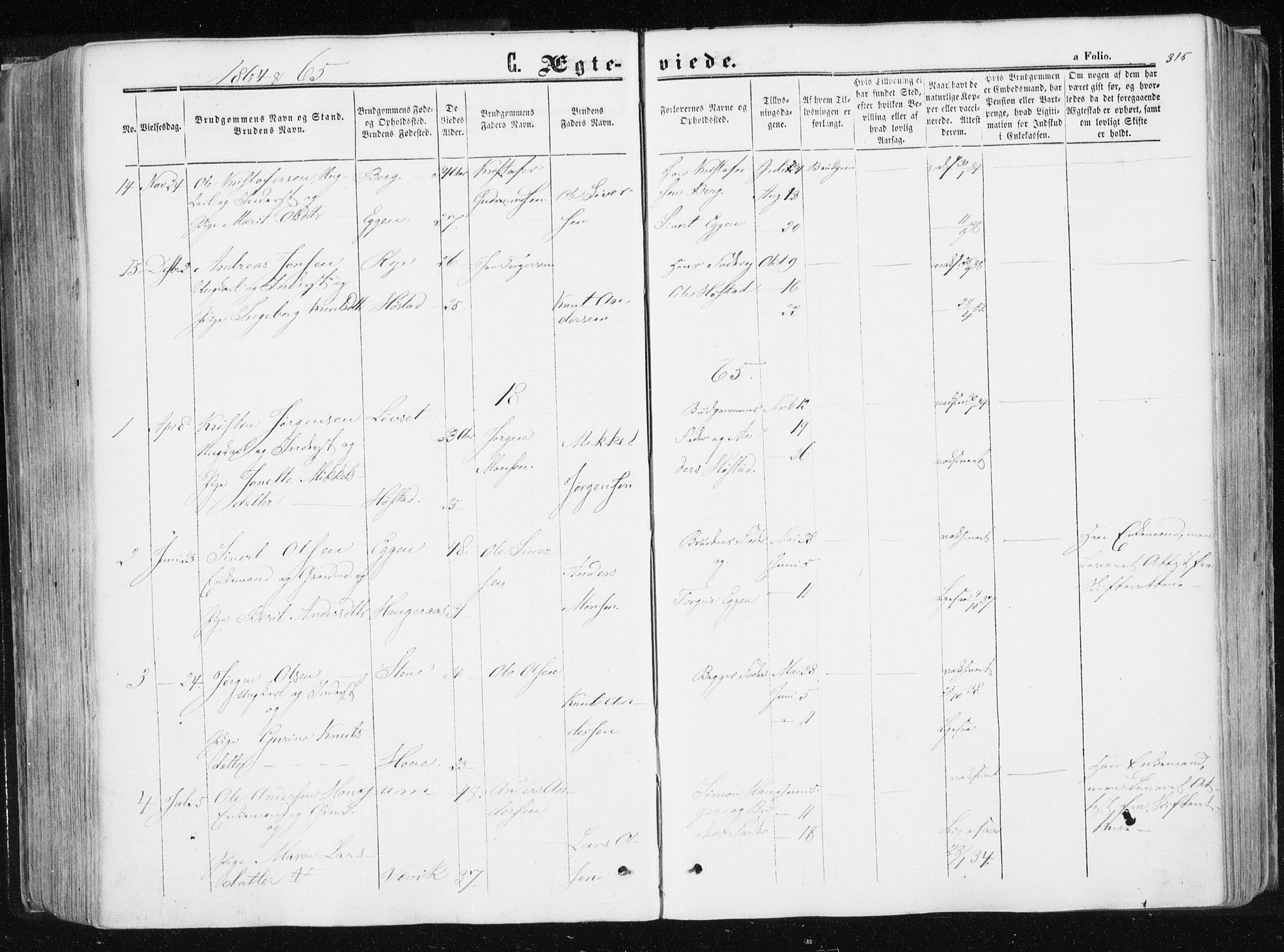 Ministerialprotokoller, klokkerbøker og fødselsregistre - Sør-Trøndelag, SAT/A-1456/612/L0377: Parish register (official) no. 612A09, 1859-1877, p. 315