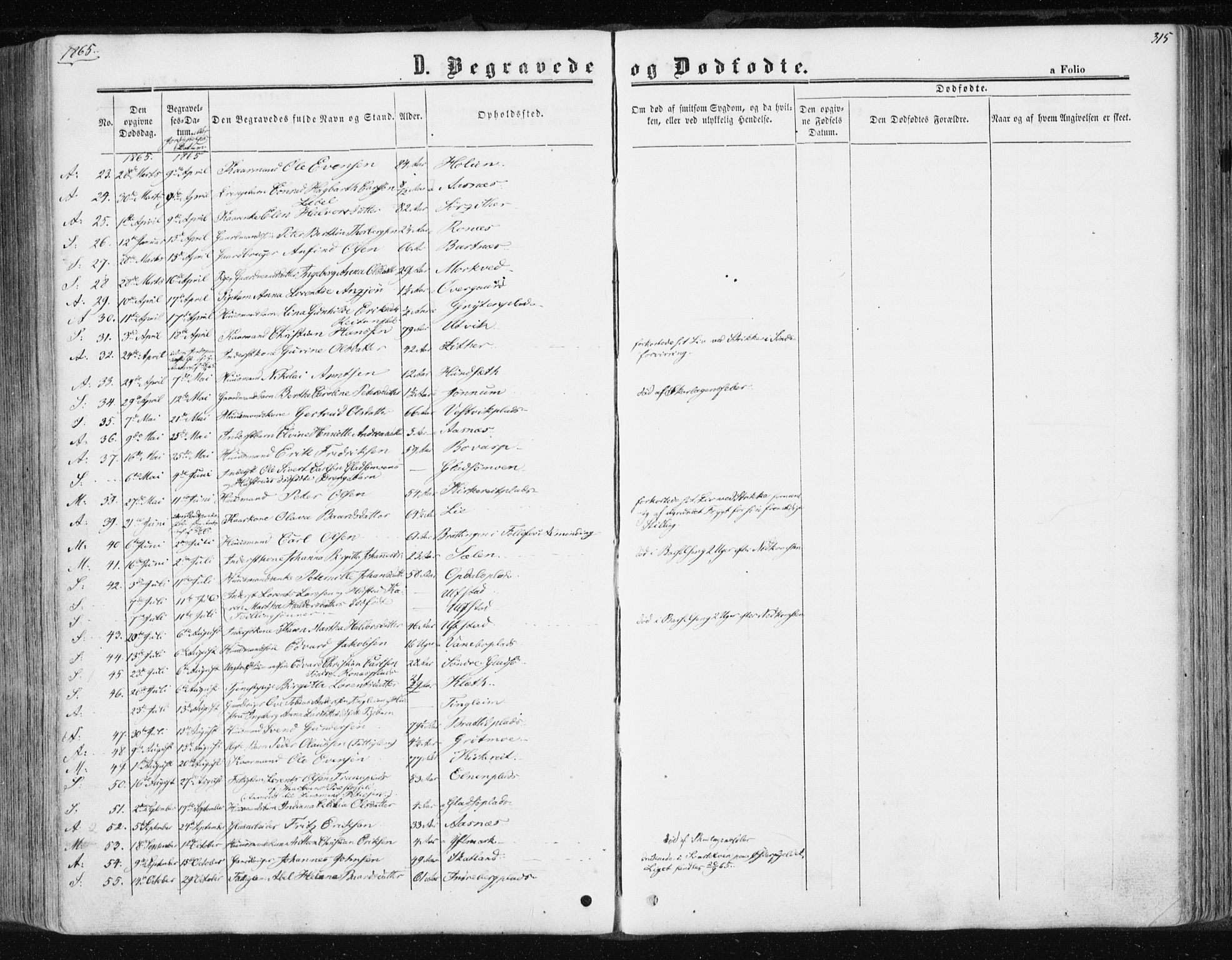 Ministerialprotokoller, klokkerbøker og fødselsregistre - Nord-Trøndelag, SAT/A-1458/741/L0394: Parish register (official) no. 741A08, 1864-1877, p. 315