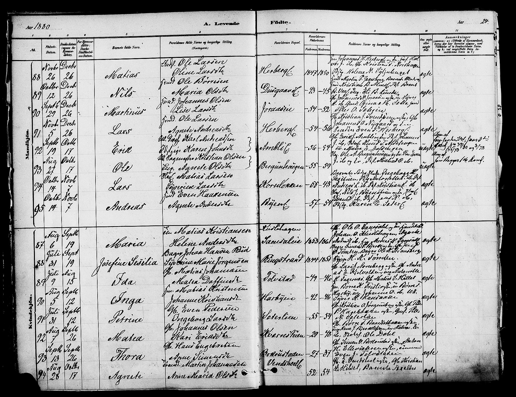 Ringsaker prestekontor, AV/SAH-PREST-014/K/Ka/L0012: Parish register (official) no. 12, 1879-1890, p. 24