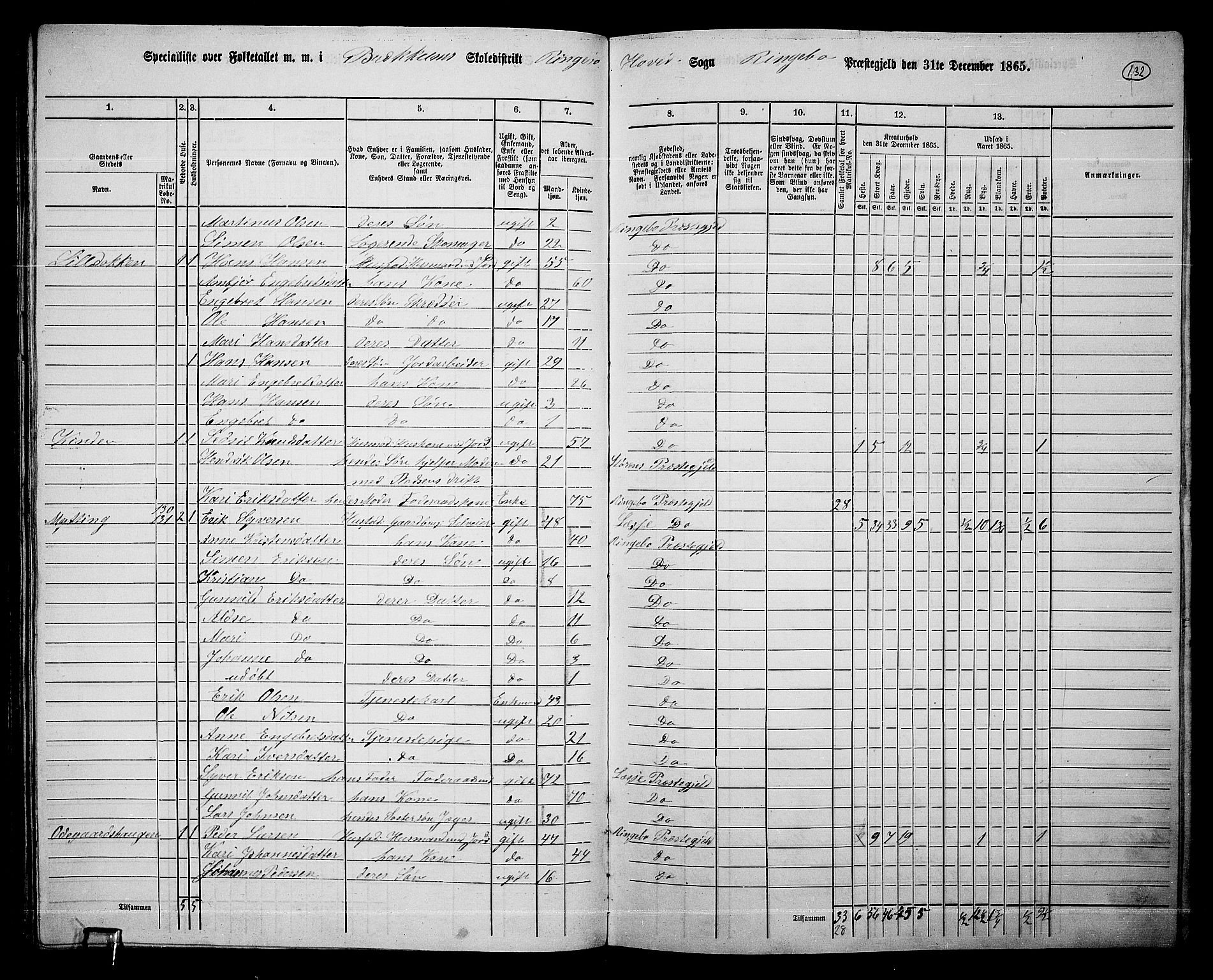 RA, 1865 census for Ringebu, 1865, p. 110