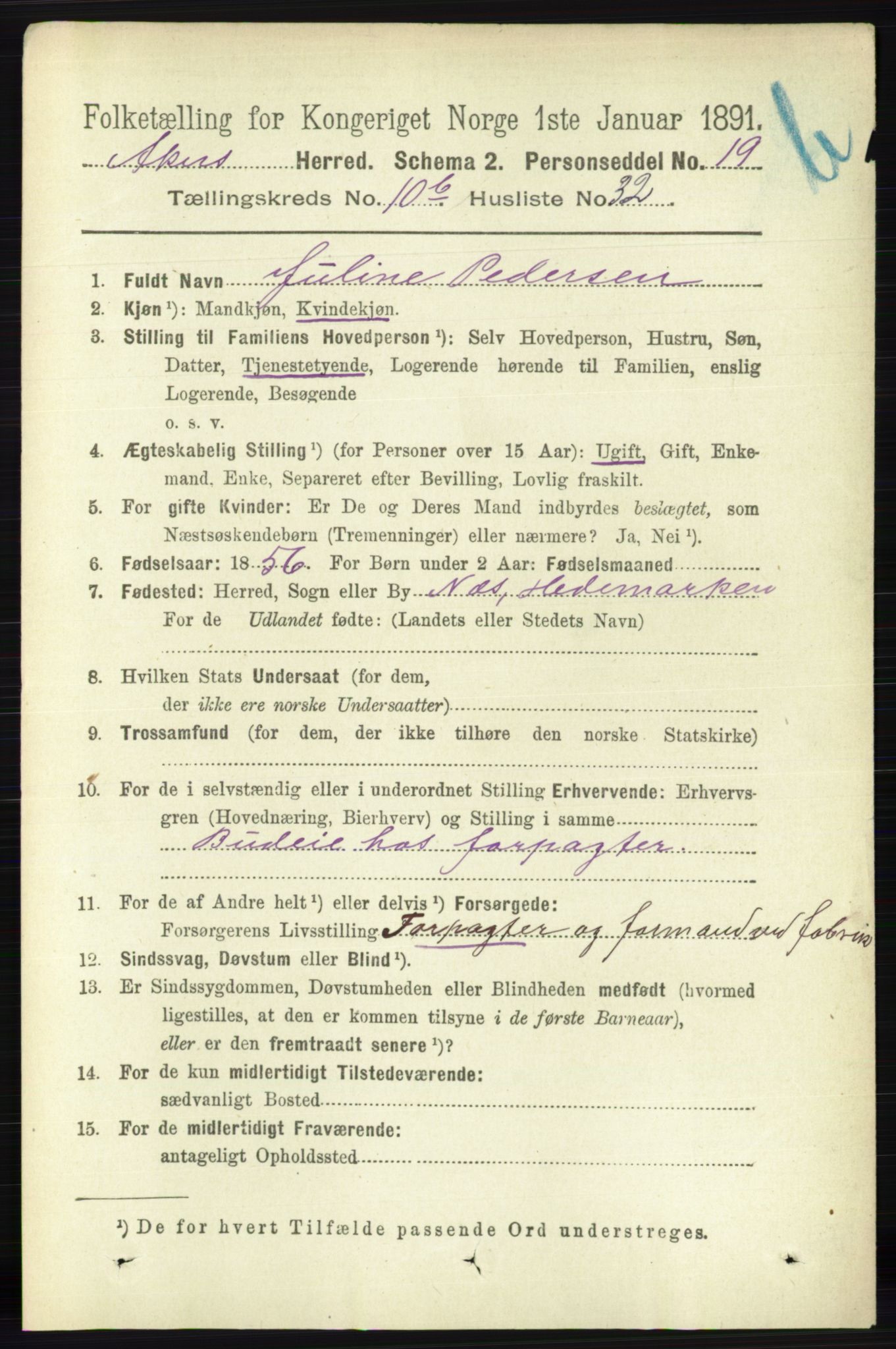 RA, 1891 census for 0218 Aker, 1891, p. 10046