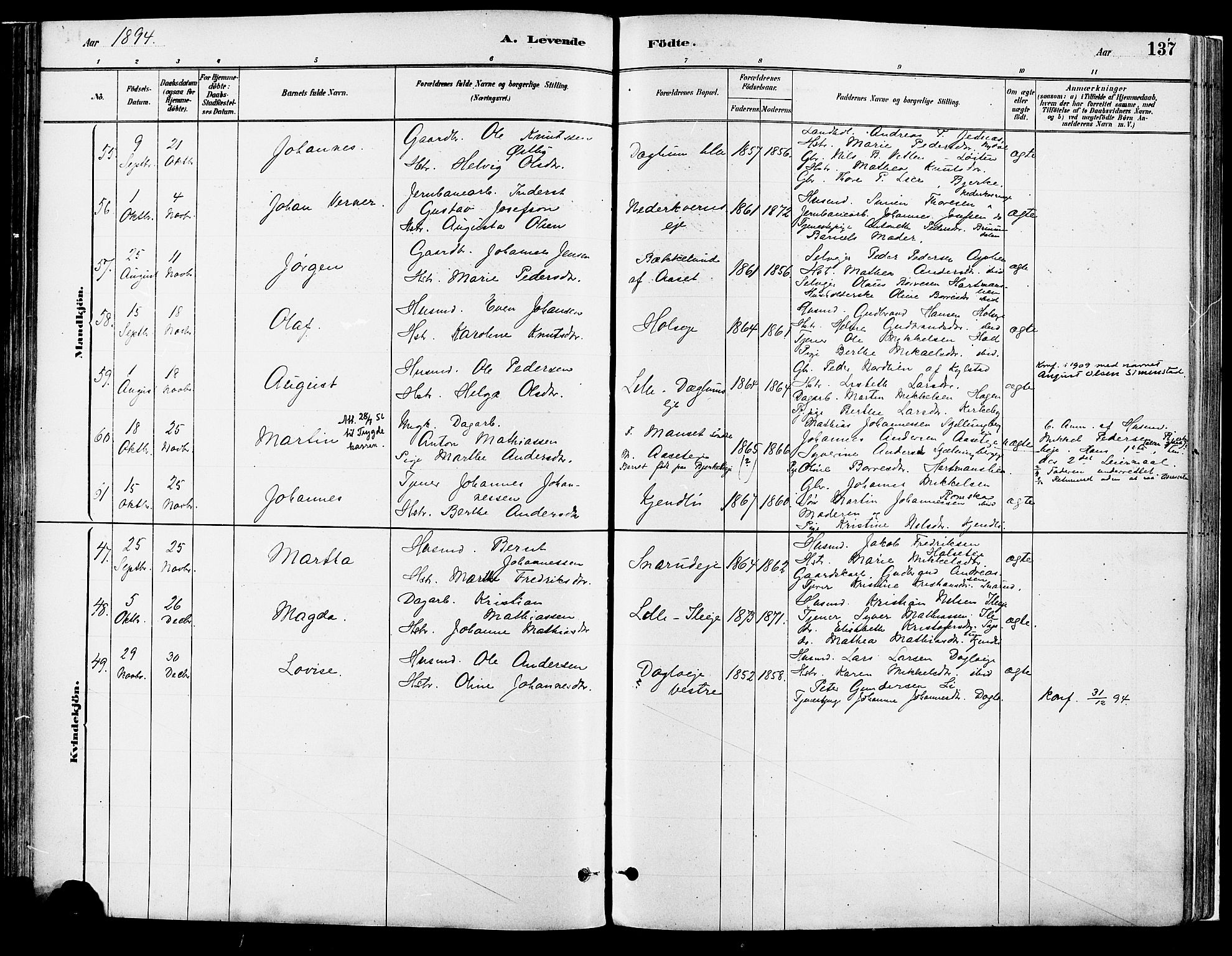 Vang prestekontor, Hedmark, AV/SAH-PREST-008/H/Ha/Haa/L0018A: Parish register (official) no. 18A, 1880-1906, p. 137