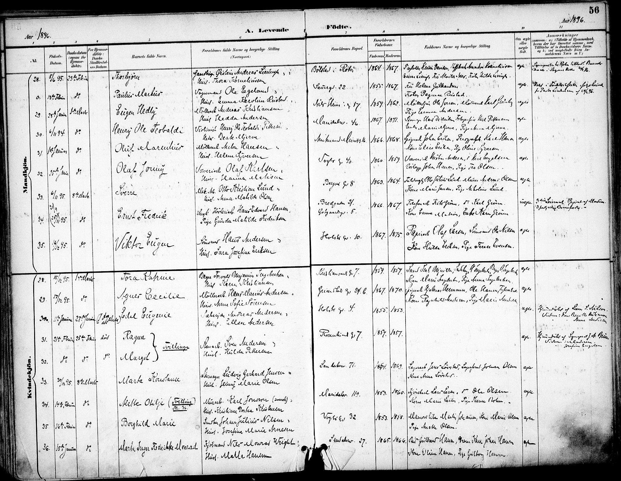 Sagene prestekontor Kirkebøker, AV/SAO-A-10796/F/L0004: Parish register (official) no. 4, 1894-1904, p. 56