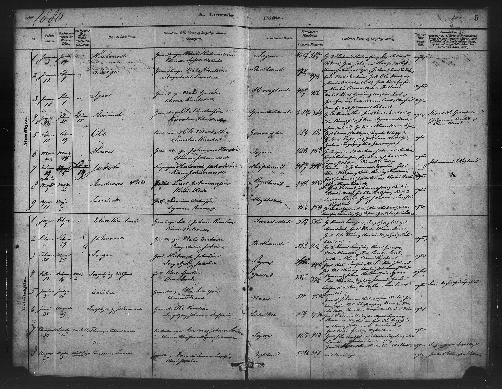 Alversund Sokneprestembete, SAB/A-73901/H/Ha/Haa/Haad/L0001: Parish register (official) no. D 1, 1880-1898, p. 5