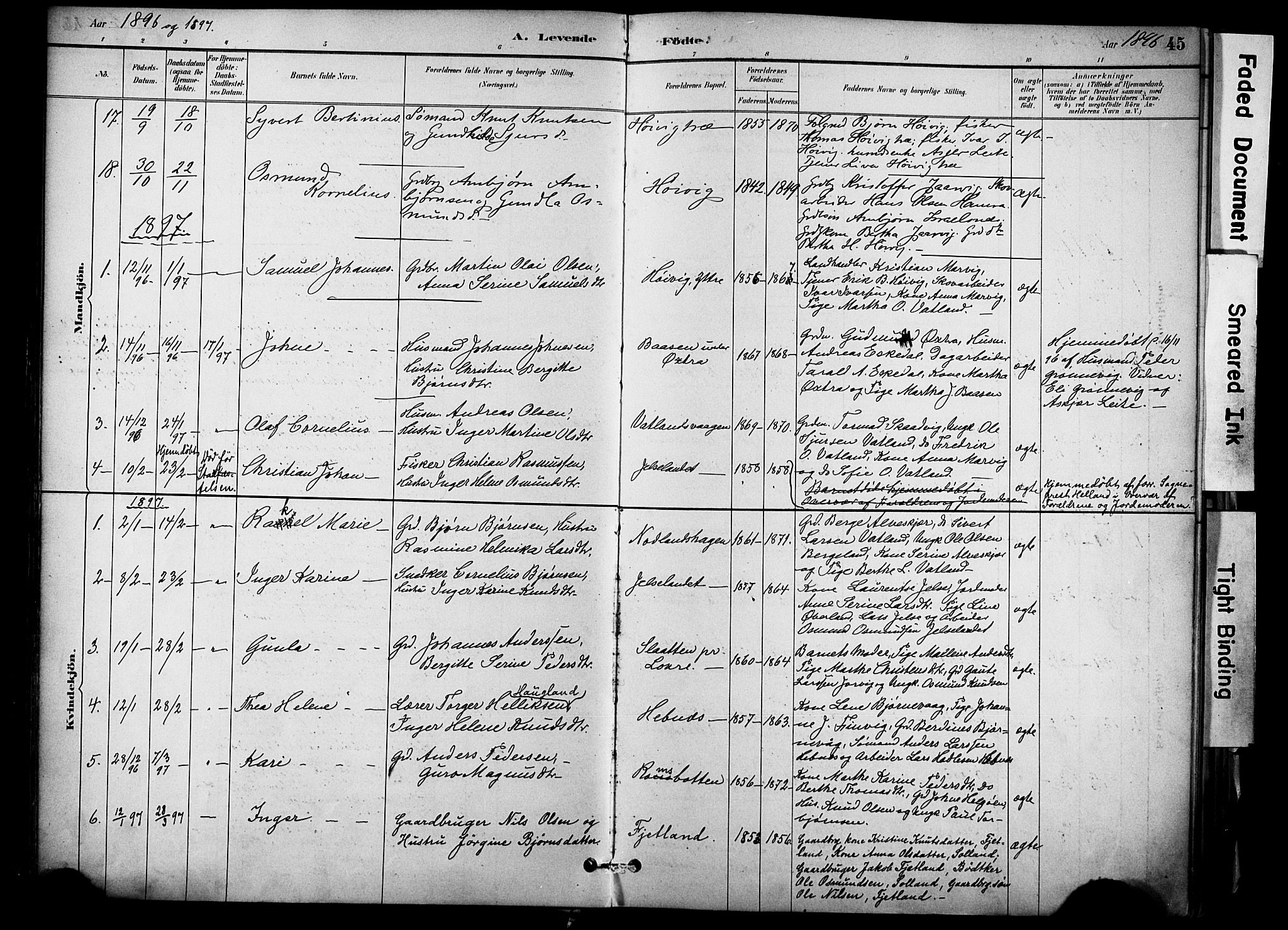 Jelsa sokneprestkontor, SAST/A-101842/01/IV: Parish register (official) no. A 10, 1884-1906, p. 45