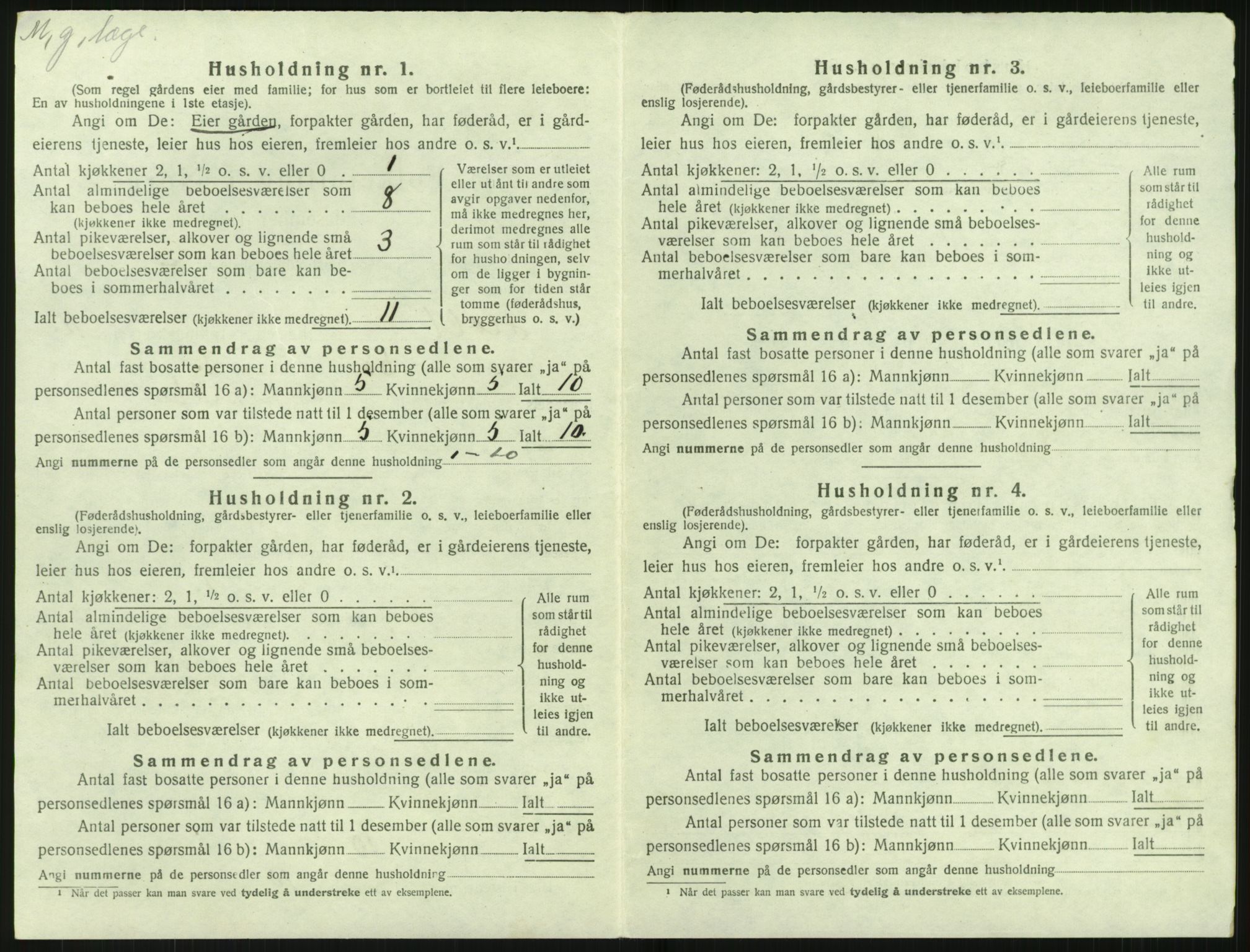 SAK, 1920 census for Holt, 1920, p. 1035