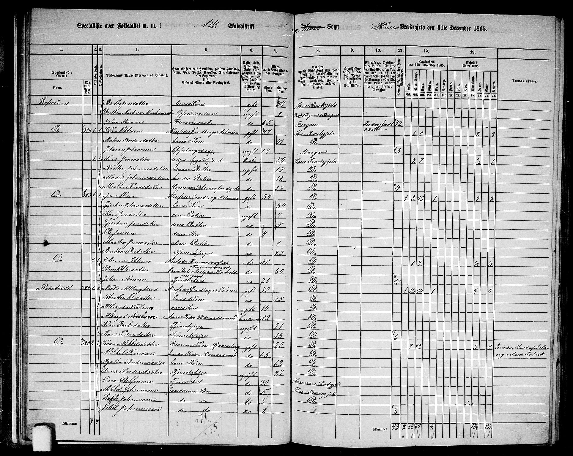 RA, 1865 census for Haus, 1865, p. 26