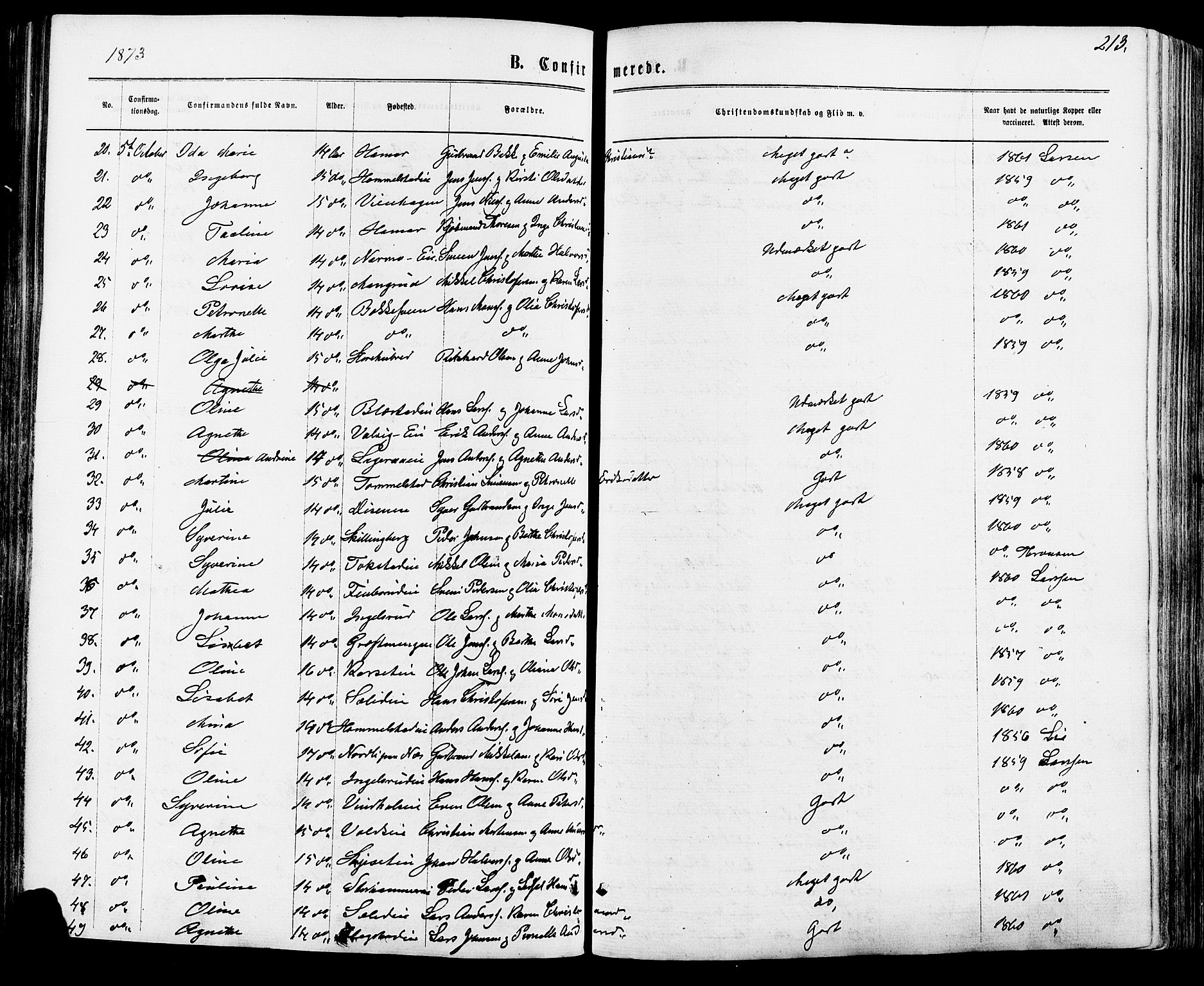 Vang prestekontor, Hedmark, AV/SAH-PREST-008/H/Ha/Haa/L0015: Parish register (official) no. 15, 1871-1885, p. 213