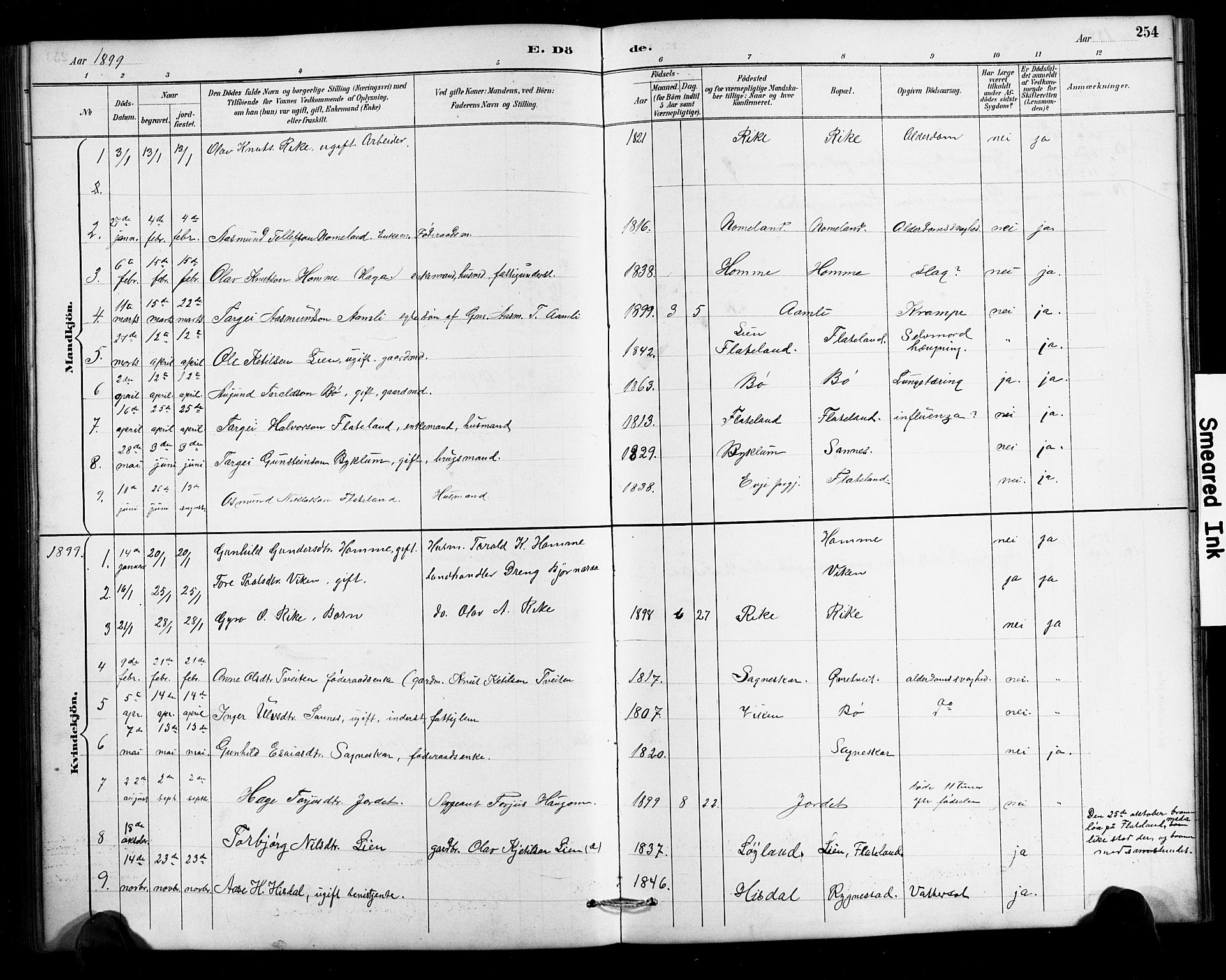 Valle sokneprestkontor, SAK/1111-0044/F/Fb/Fbc/L0004: Parish register (copy) no. B 4, 1890-1928, p. 254