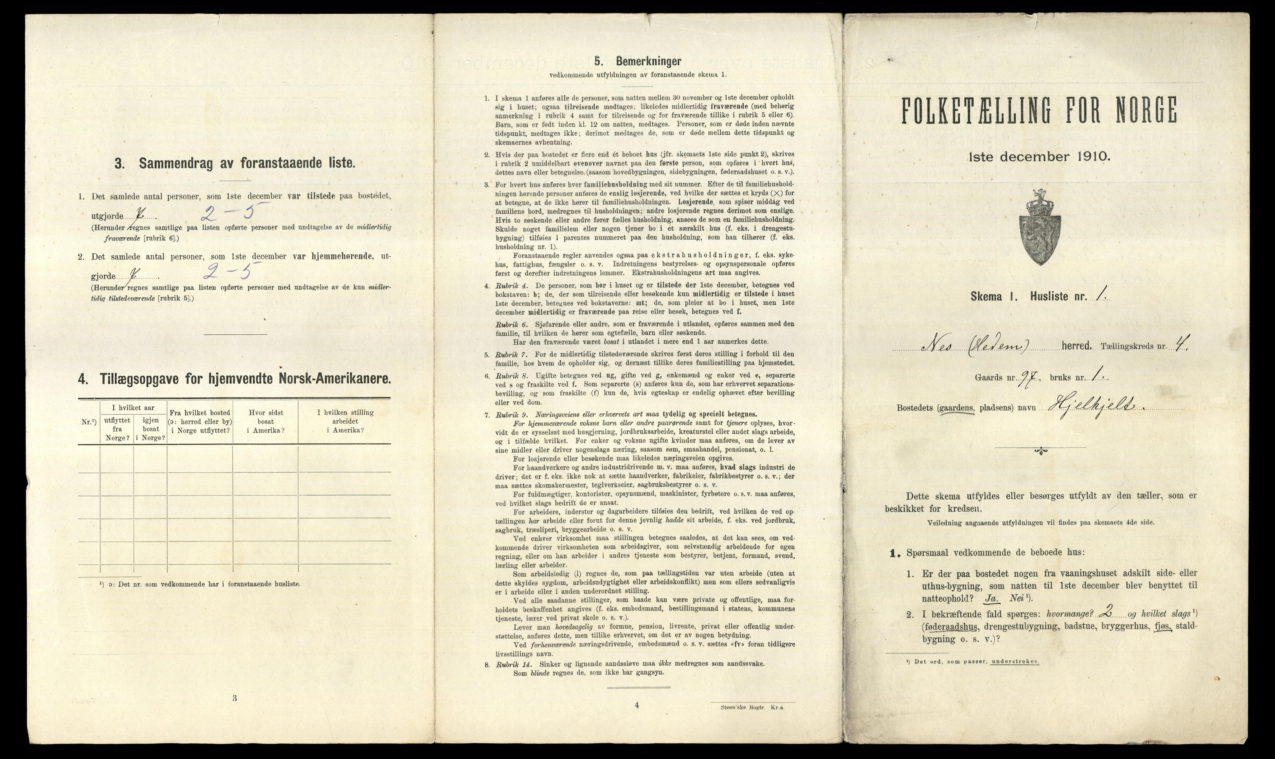 RA, 1910 census for Nes, 1910, p. 695