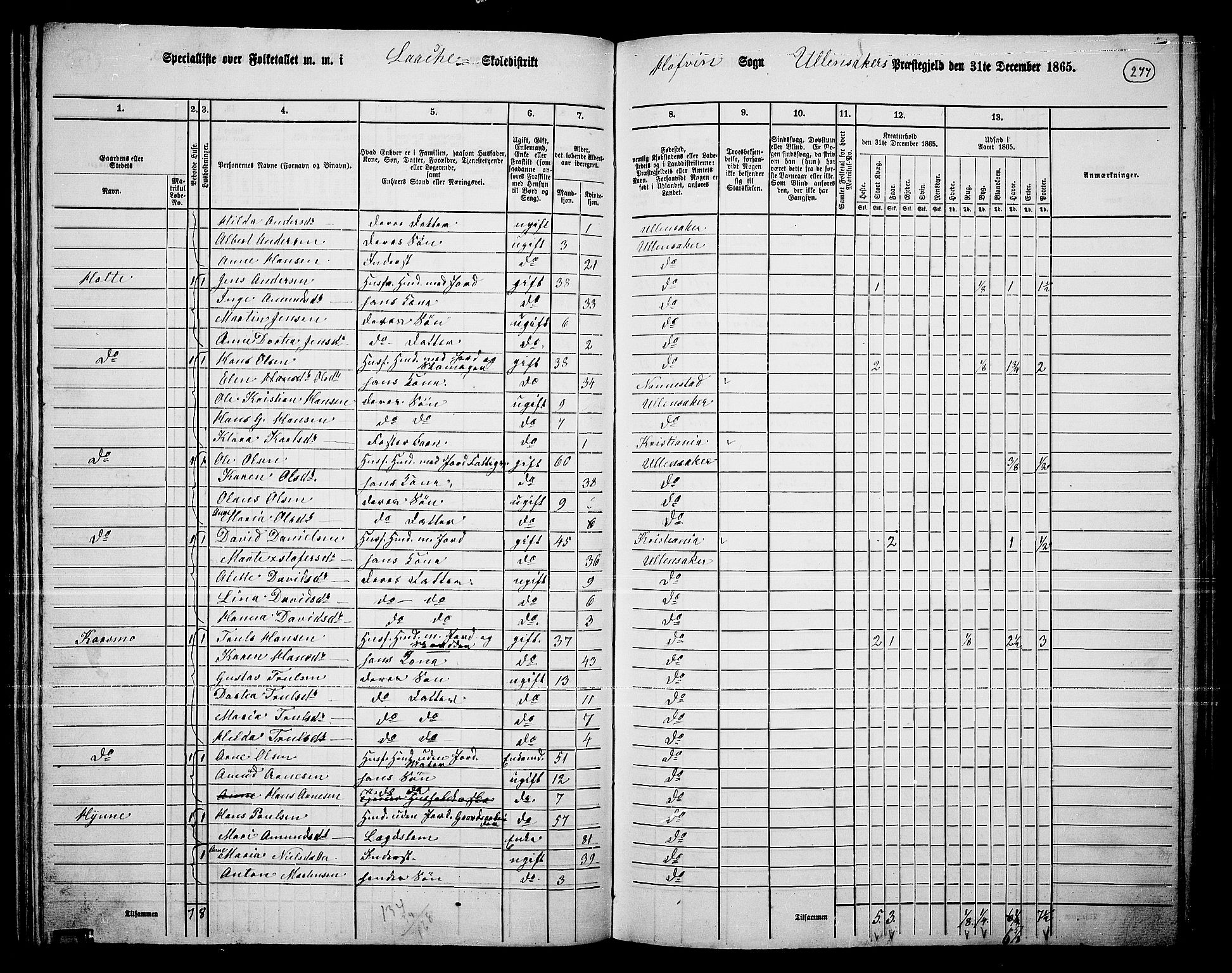 RA, 1865 census for Ullensaker, 1865, p. 243