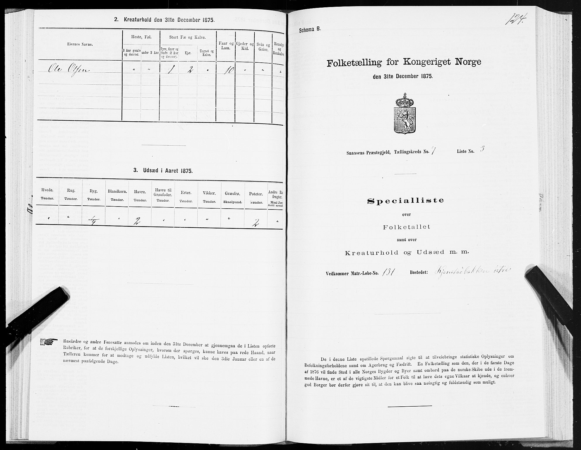 SAT, 1875 census for 1736P Snåsa, 1875, p. 3124