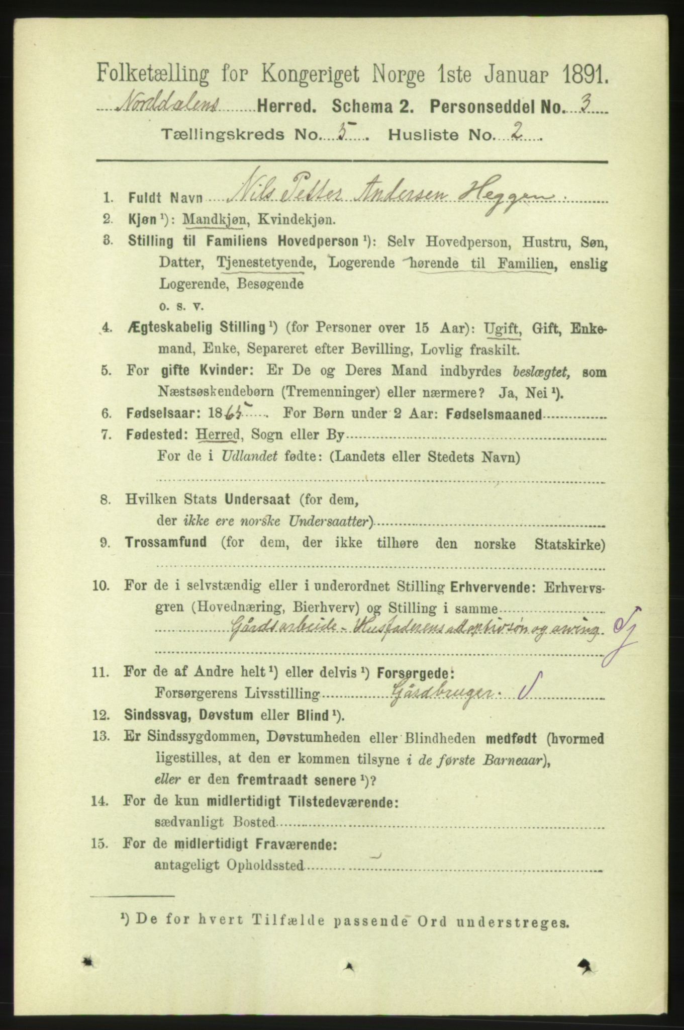 RA, 1891 census for 1524 Norddal, 1891, p. 1006