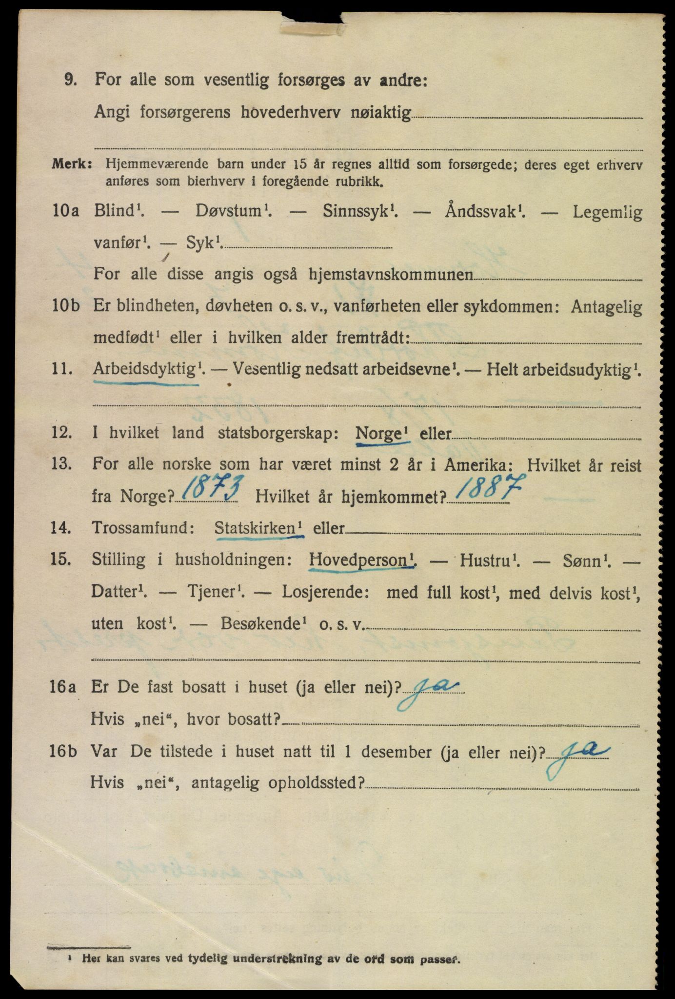 SAK, 1920 census for Hornnes, 1920, p. 1138