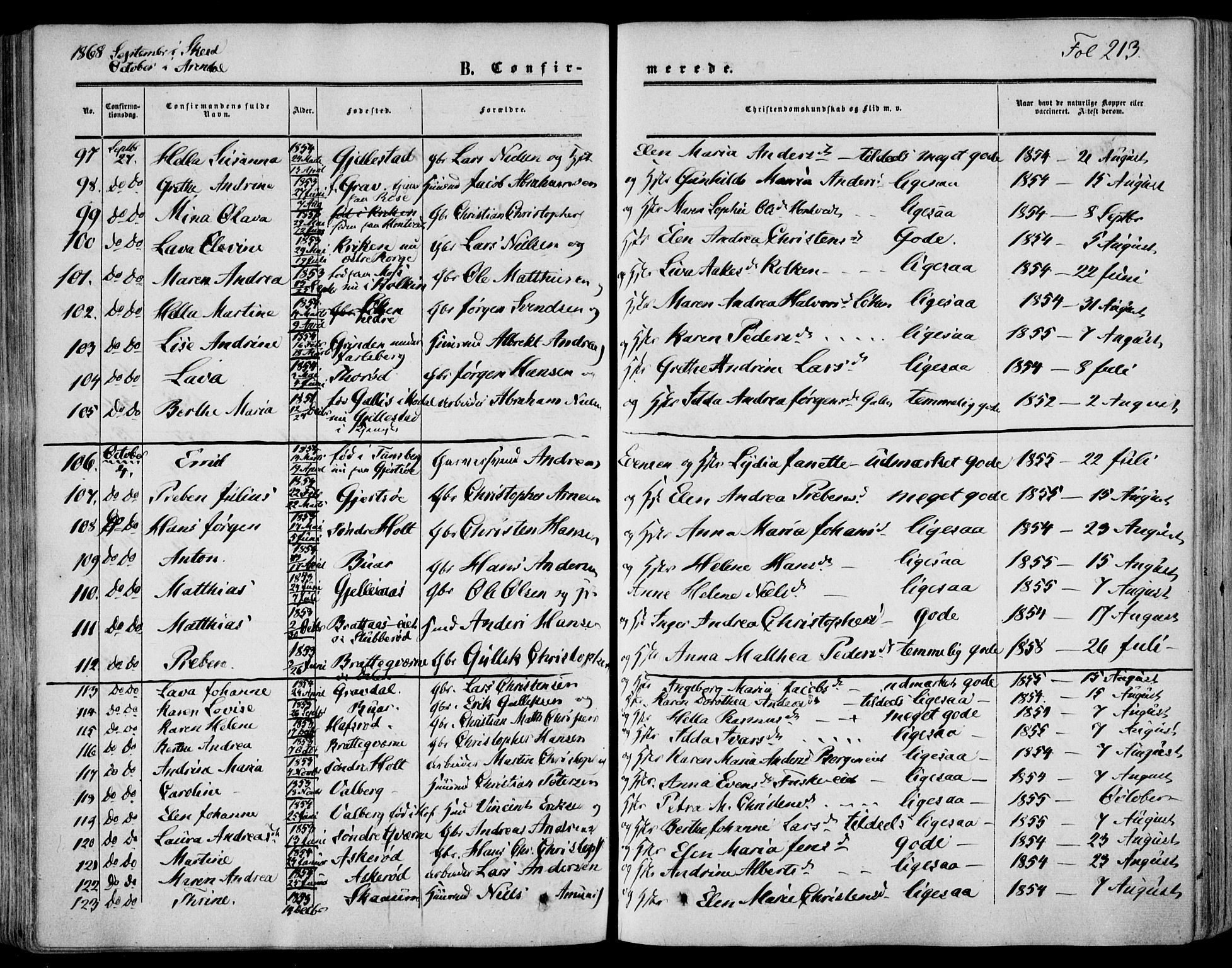 Stokke kirkebøker, AV/SAKO-A-320/F/Fa/L0008: Parish register (official) no. I 8, 1858-1871, p. 213