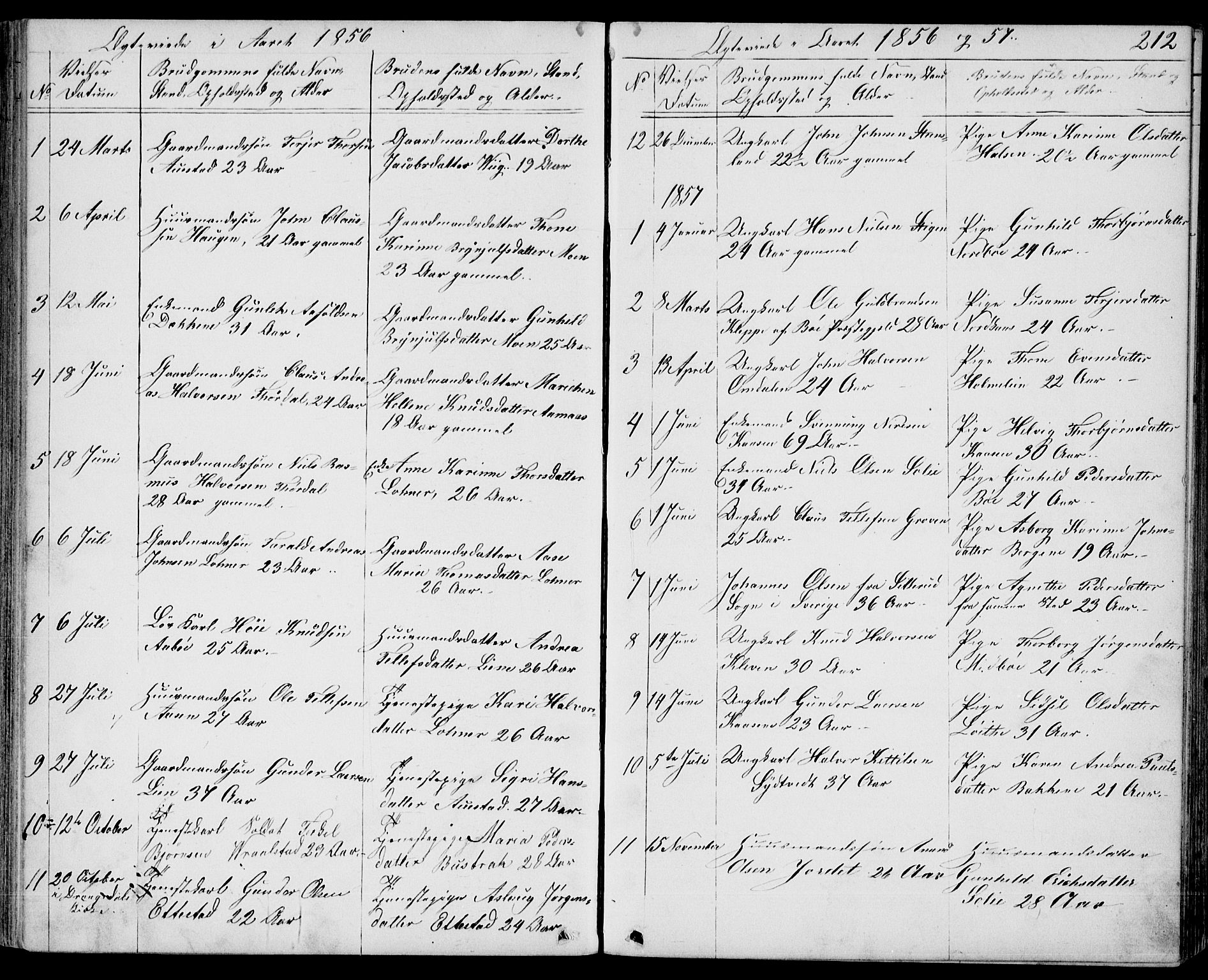 Drangedal kirkebøker, SAKO/A-258/G/Gb/L0001: Parish register (copy) no. II 1, 1856-1894, p. 212
