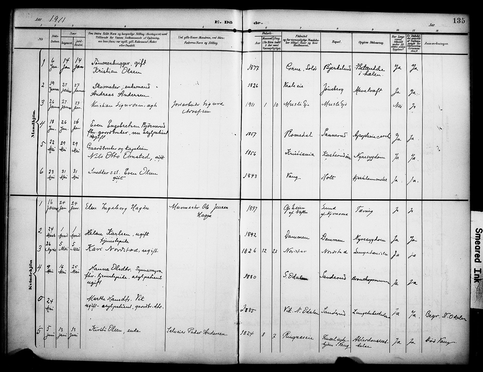 Stange prestekontor, SAH/PREST-002/K/L0022: Parish register (official) no. 22, 1903-1914, p. 135