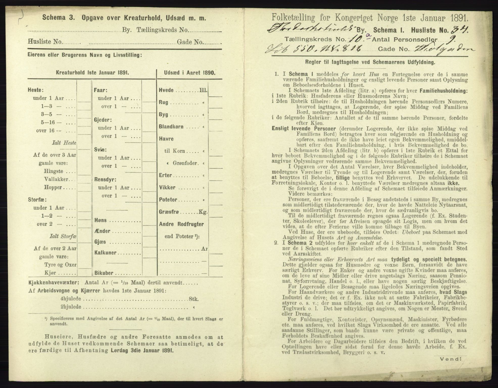 RA, 1891 census for 0101 Fredrikshald, 1891, p. 988