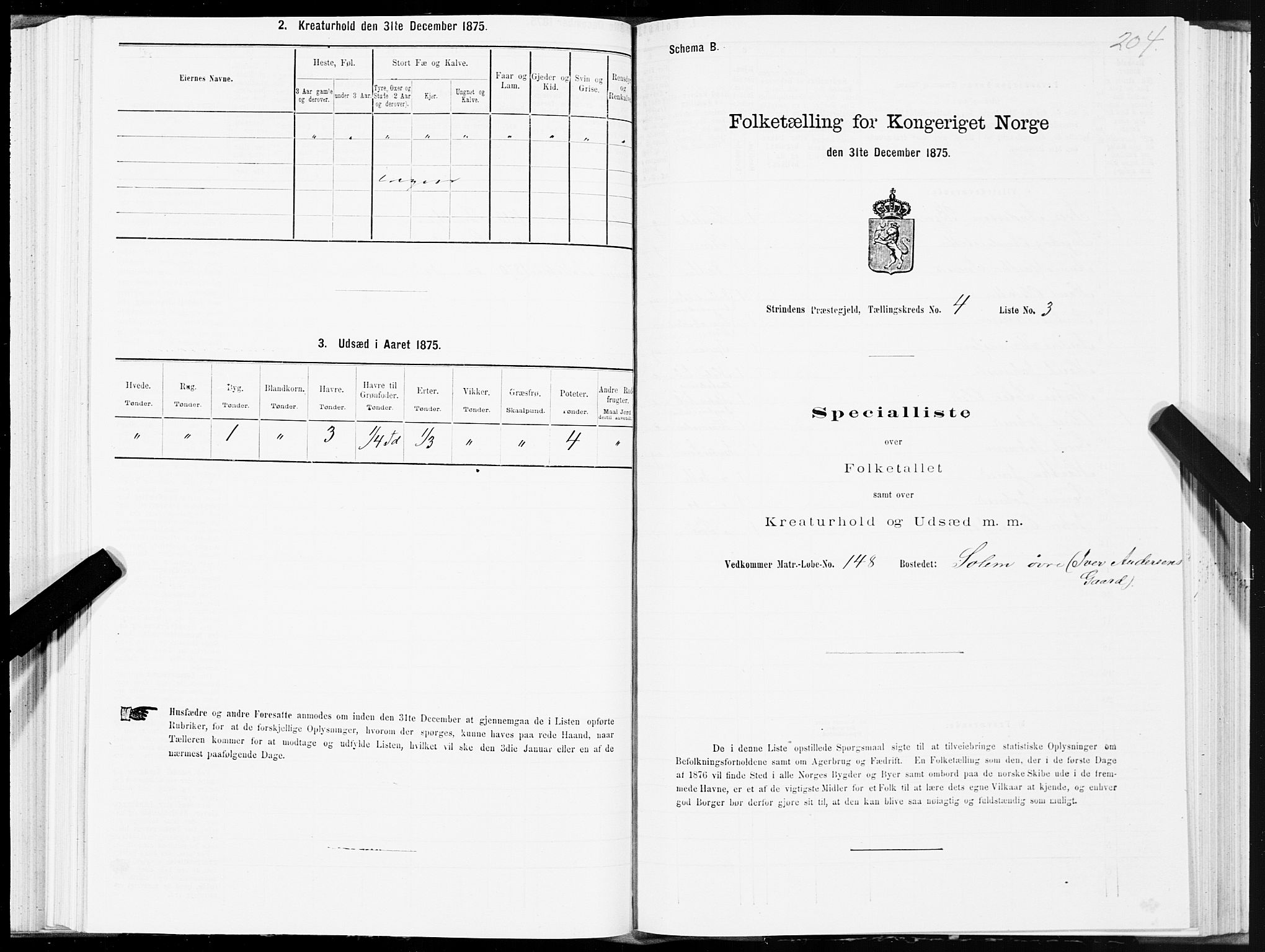 SAT, 1875 census for 1660P Strinda, 1875, p. 2204