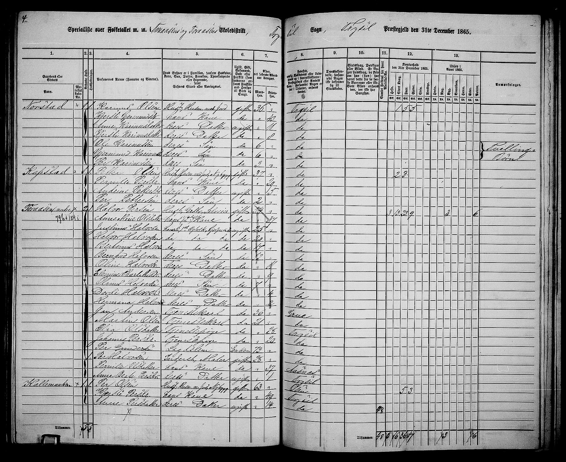 RA, 1865 census for Trysil, 1865, p. 150