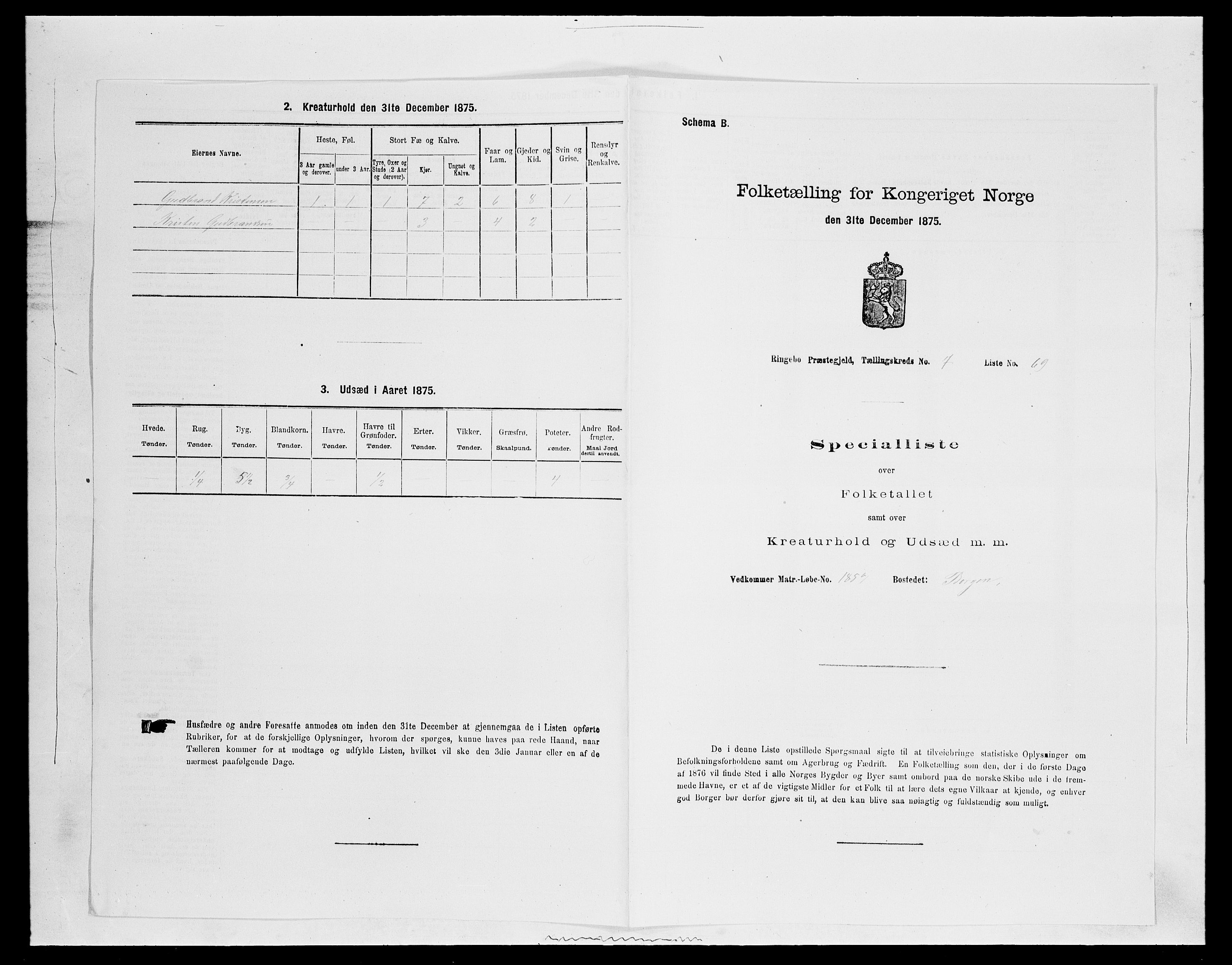 SAH, 1875 census for 0520P Ringebu, 1875, p. 1145