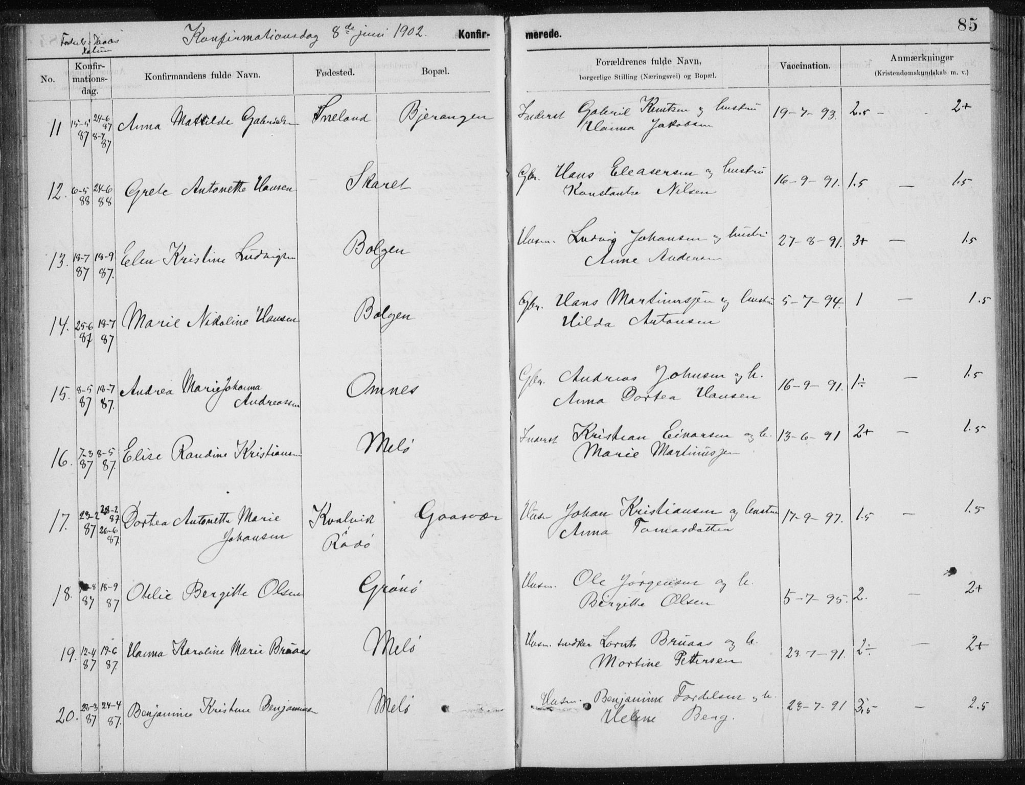 Ministerialprotokoller, klokkerbøker og fødselsregistre - Nordland, AV/SAT-A-1459/843/L0637: Parish register (copy) no. 843C06, 1884-1908, p. 85