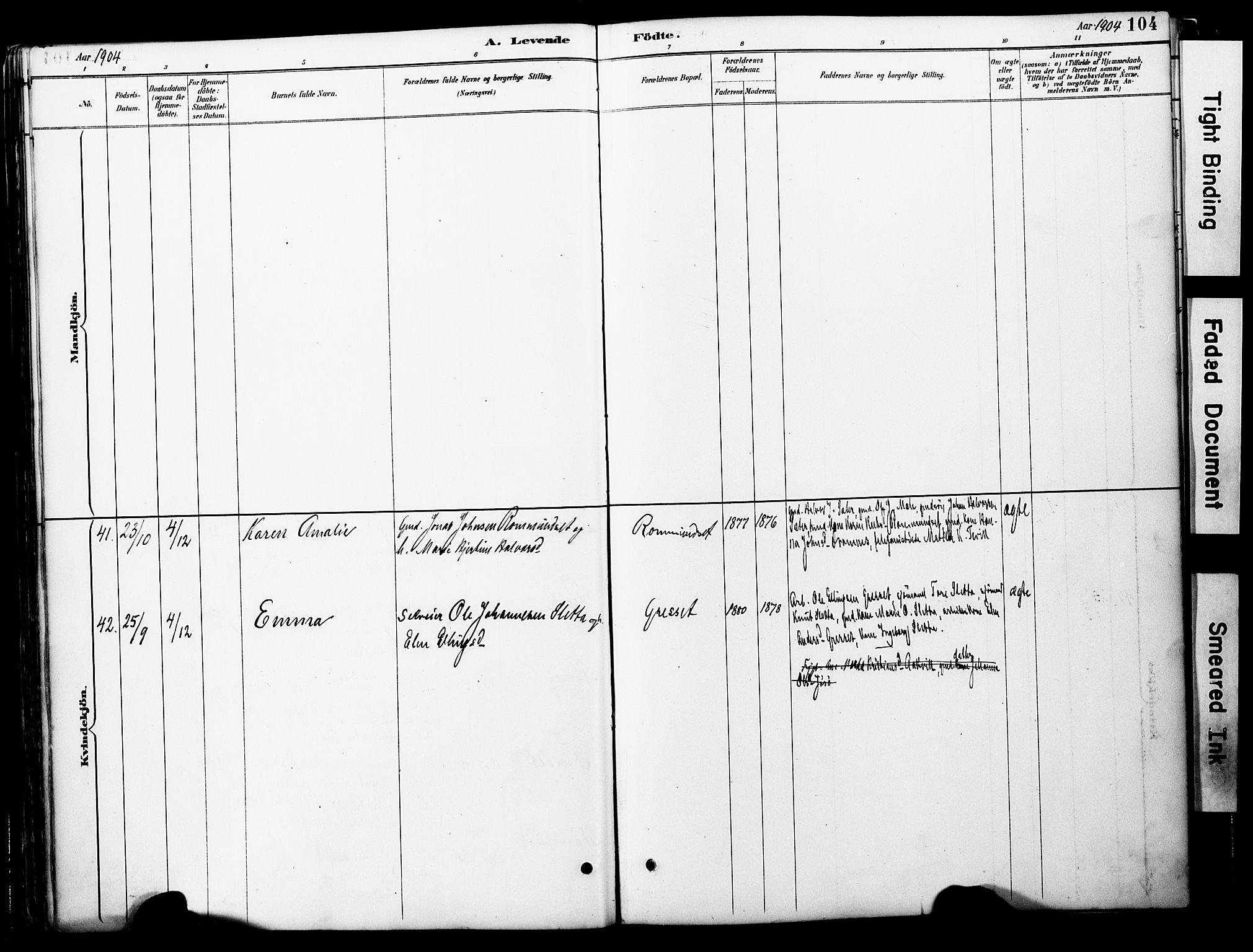 Ministerialprotokoller, klokkerbøker og fødselsregistre - Møre og Romsdal, AV/SAT-A-1454/578/L0907: Parish register (official) no. 578A06, 1887-1904, p. 104