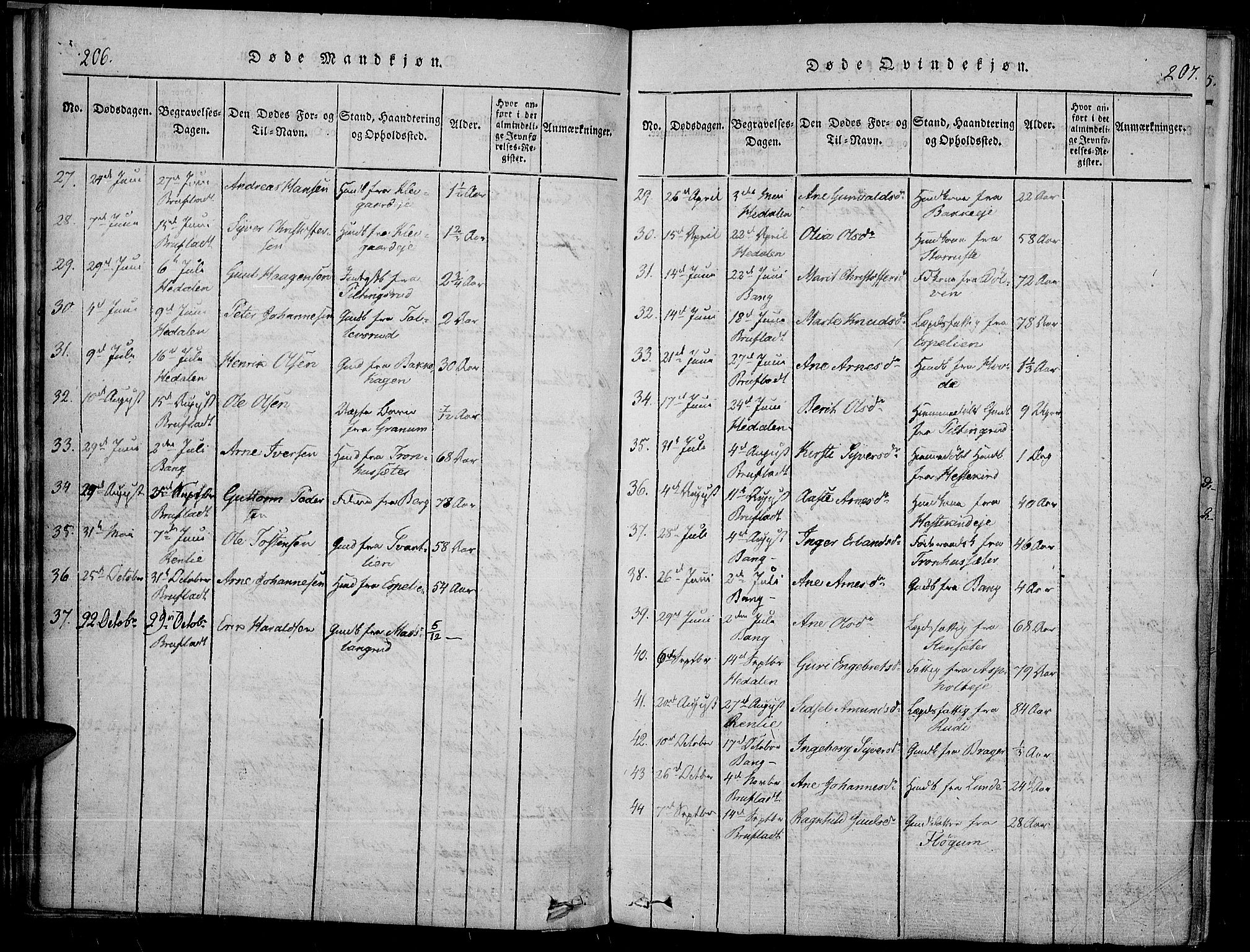 Sør-Aurdal prestekontor, SAH/PREST-128/H/Ha/Haa/L0003: Parish register (official) no. 3, 1825-1840, p. 206-207