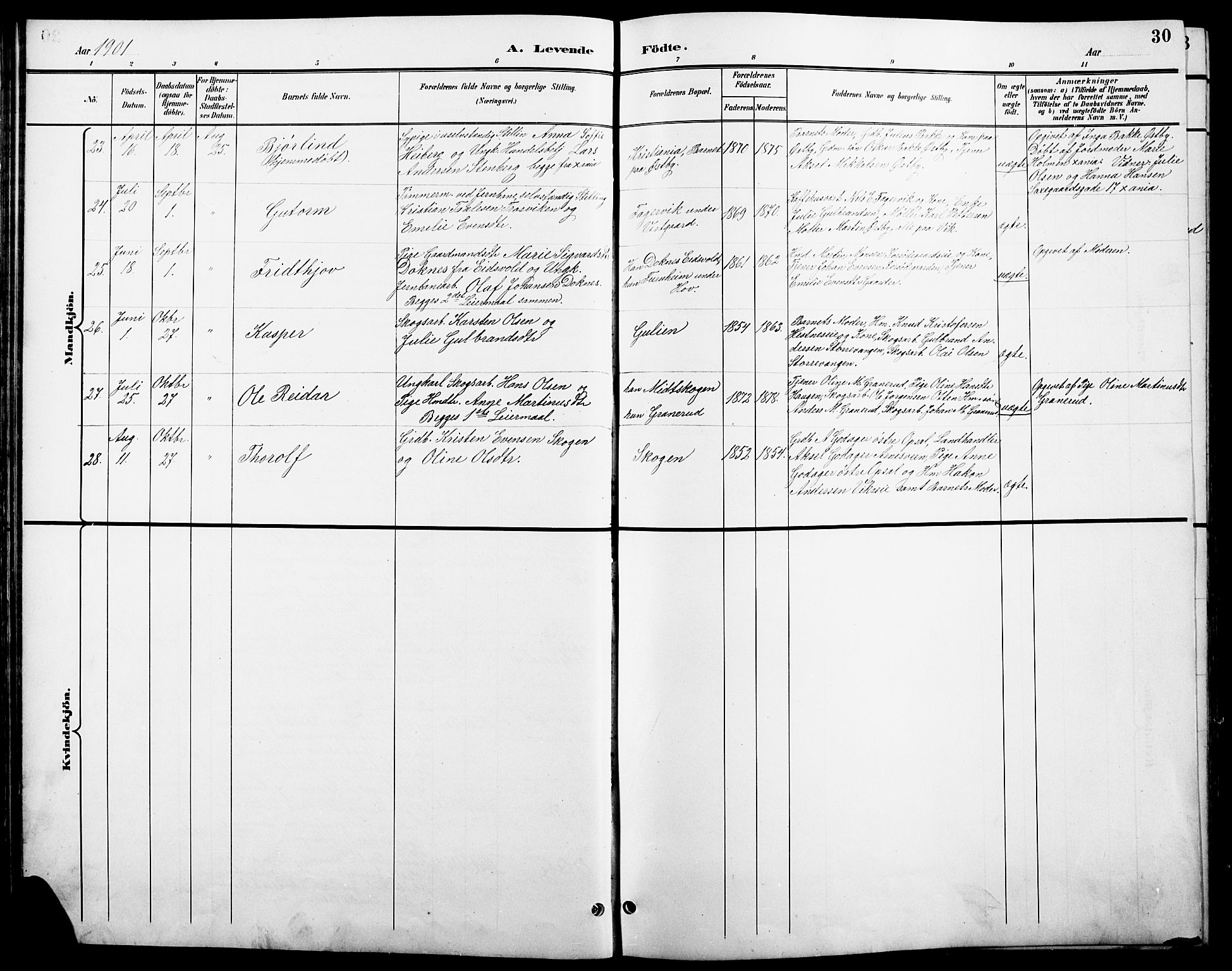 Stange prestekontor, AV/SAH-PREST-002/L/L0011: Parish register (copy) no. 11, 1895-1917, p. 30