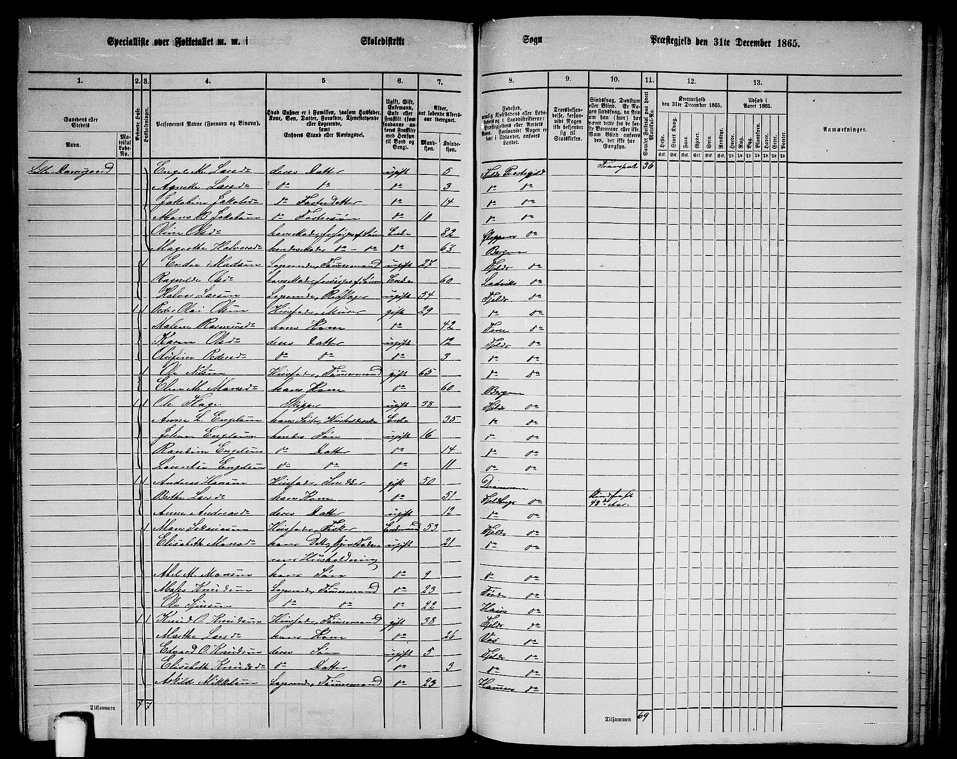 RA, 1865 census for Fjell, 1865, p. 217