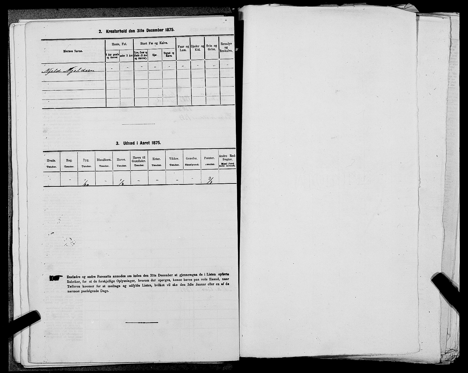 SAST, 1875 census for 1138P Jelsa, 1875, p. 667