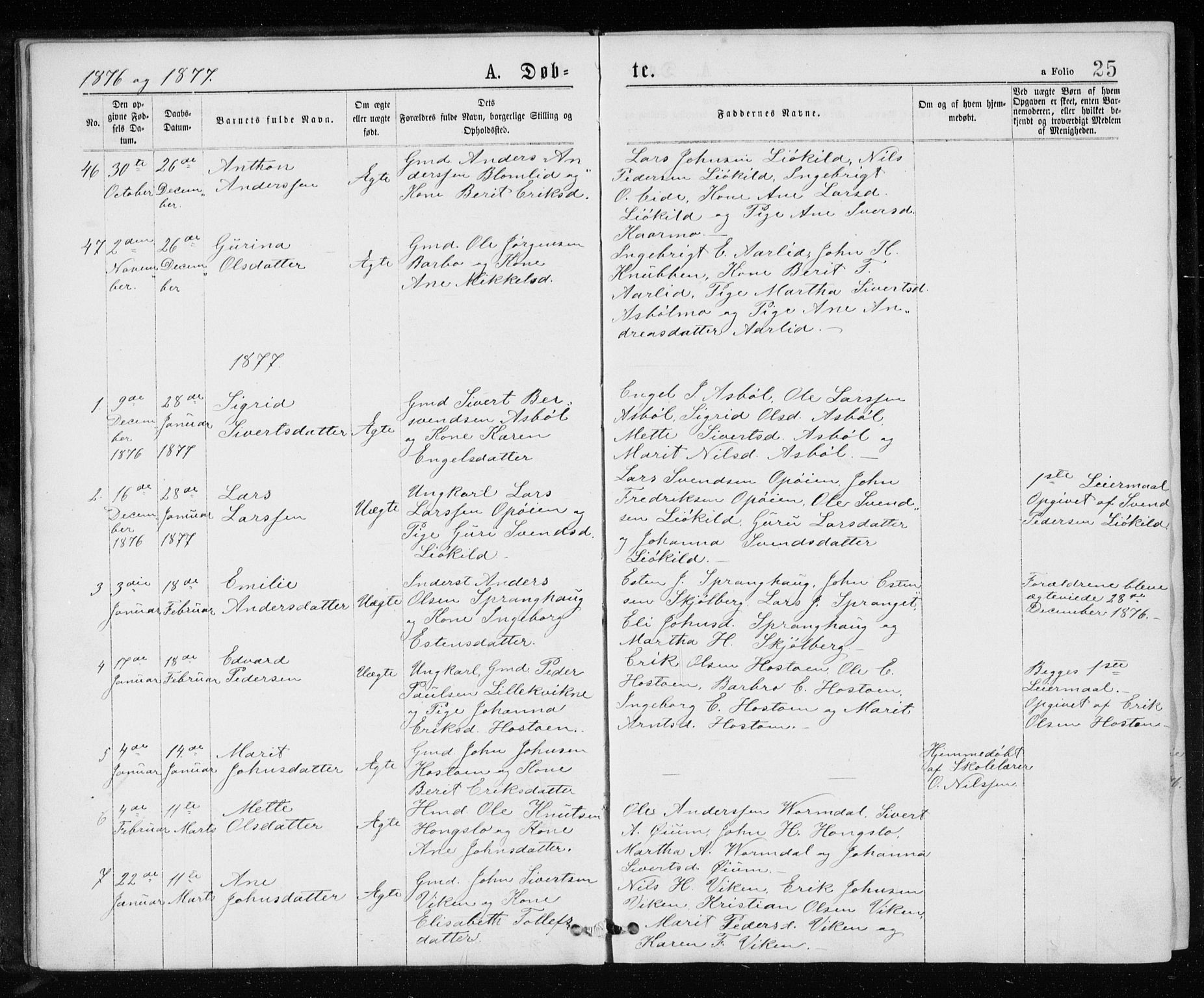 Ministerialprotokoller, klokkerbøker og fødselsregistre - Sør-Trøndelag, SAT/A-1456/671/L0843: Parish register (copy) no. 671C02, 1873-1892, p. 25
