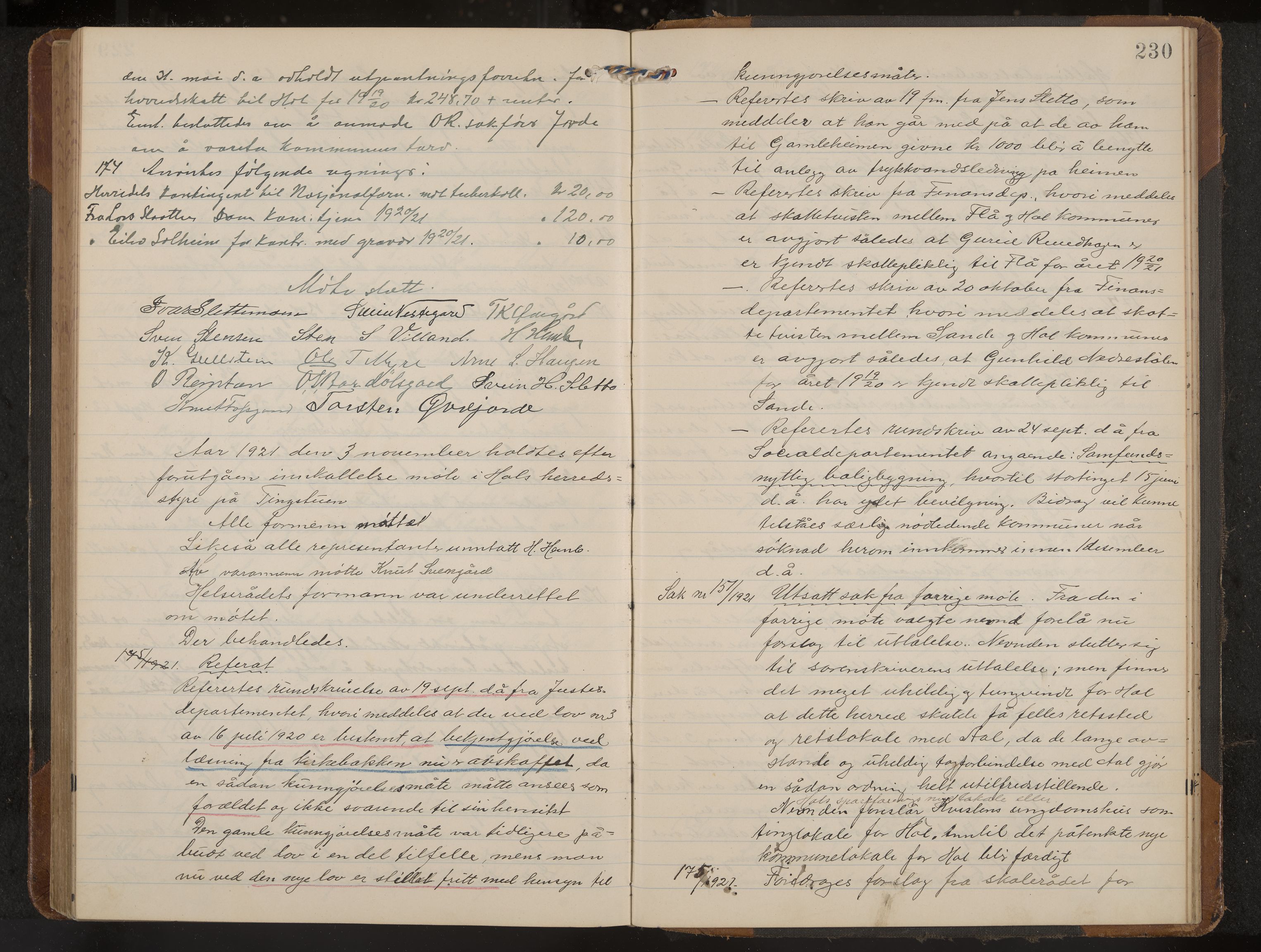 Hol formannskap og sentraladministrasjon, IKAK/0620021-1/A/L0006: Møtebok, 1916-1922, p. 230