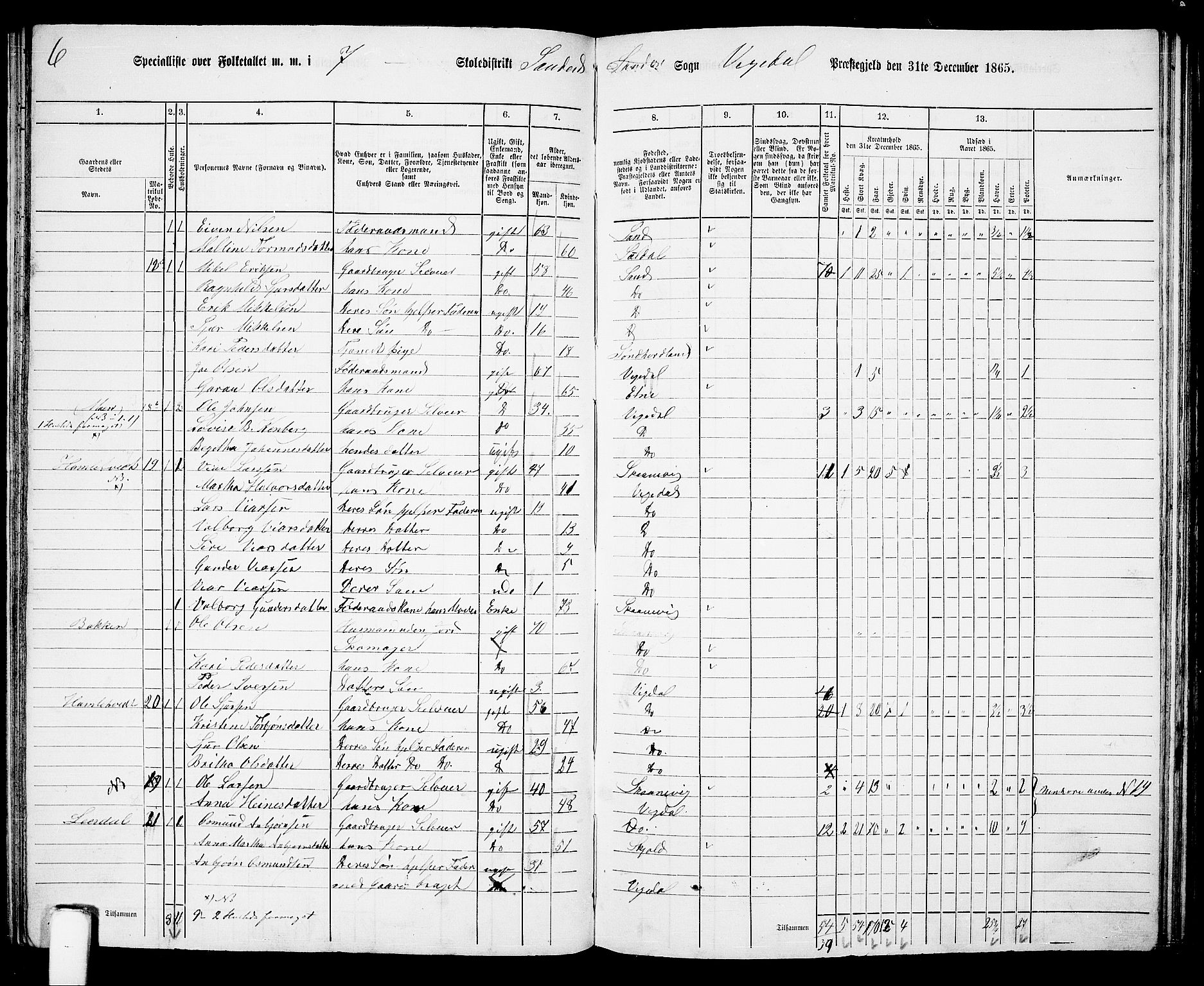 RA, 1865 census for Vikedal, 1865, p. 66