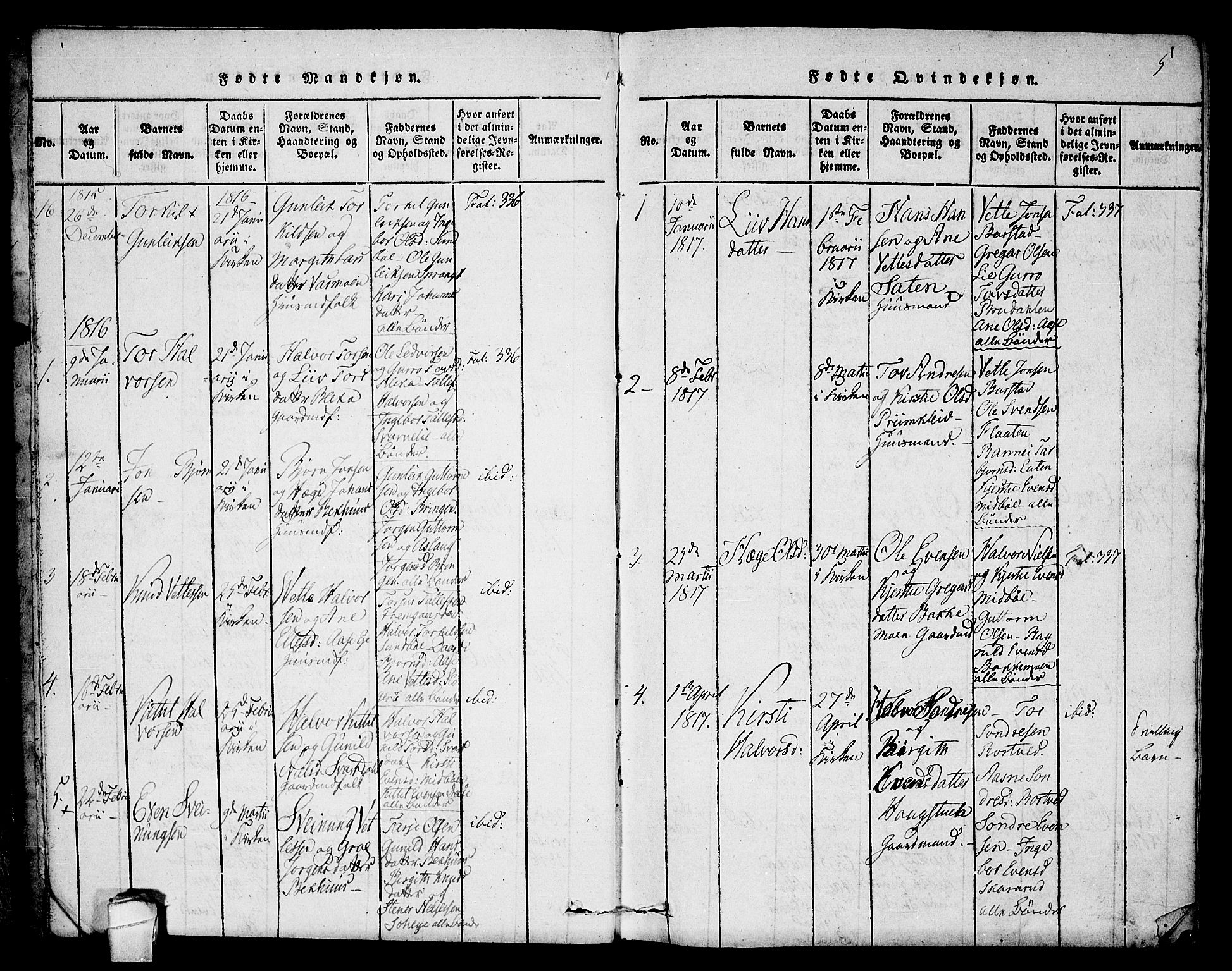Seljord kirkebøker, SAKO/A-20/F/Fb/L0001: Parish register (official) no. II 1, 1815-1831, p. 5