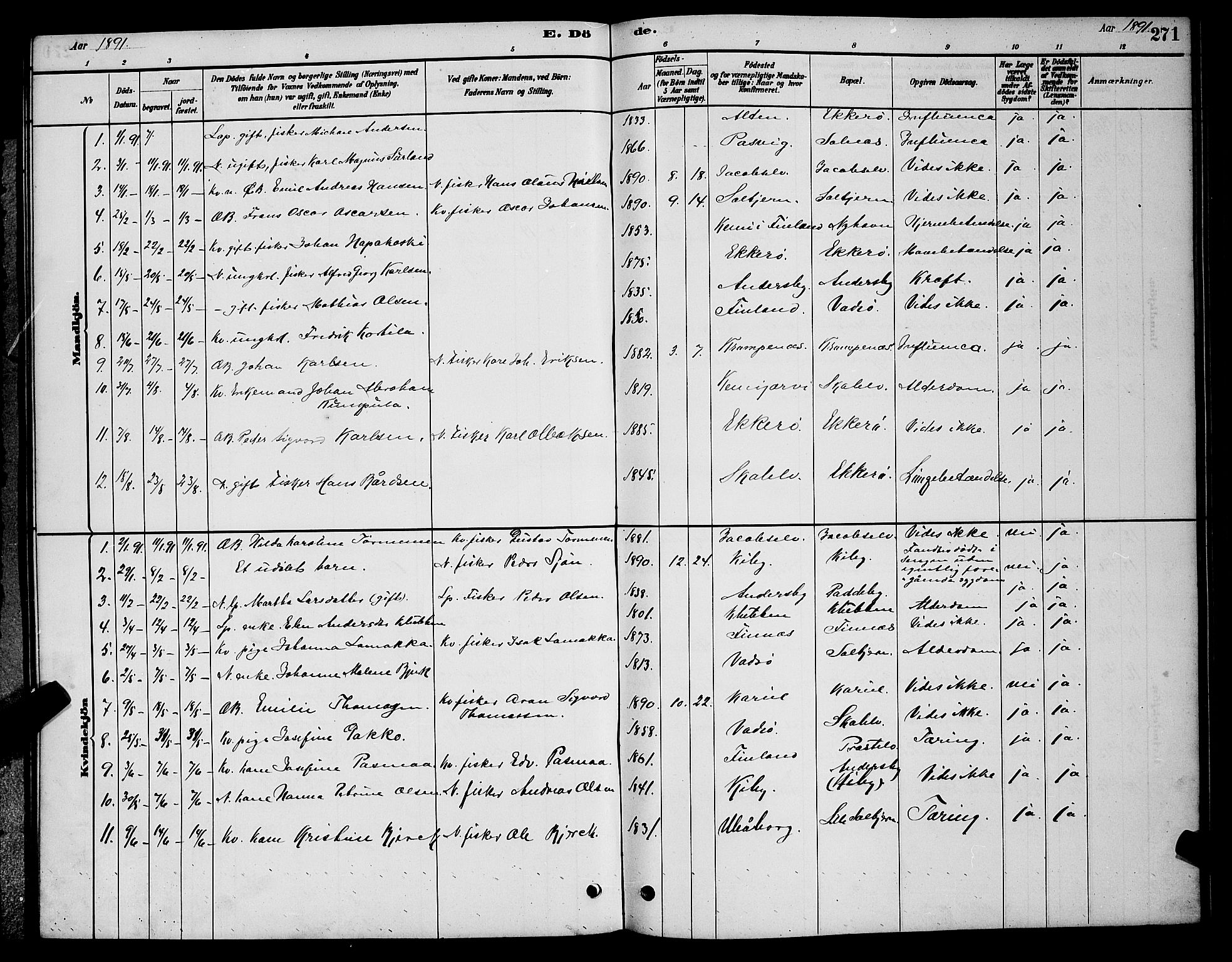 Vadsø sokneprestkontor, SATØ/S-1325/H/Hb/L0003klokker: Parish register (copy) no. 3, 1881-1901, p. 271